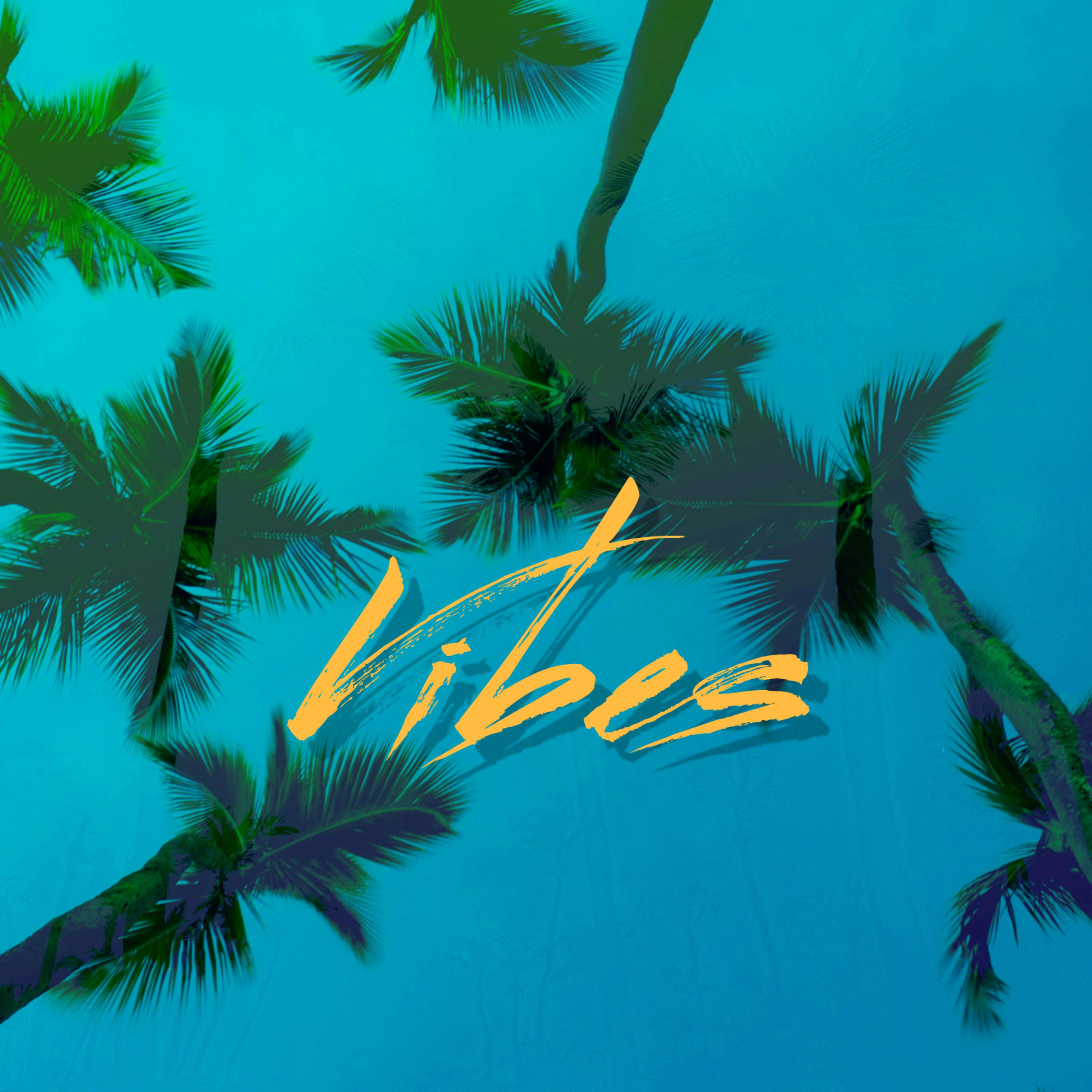 Its The Vibes 4 Me artwork