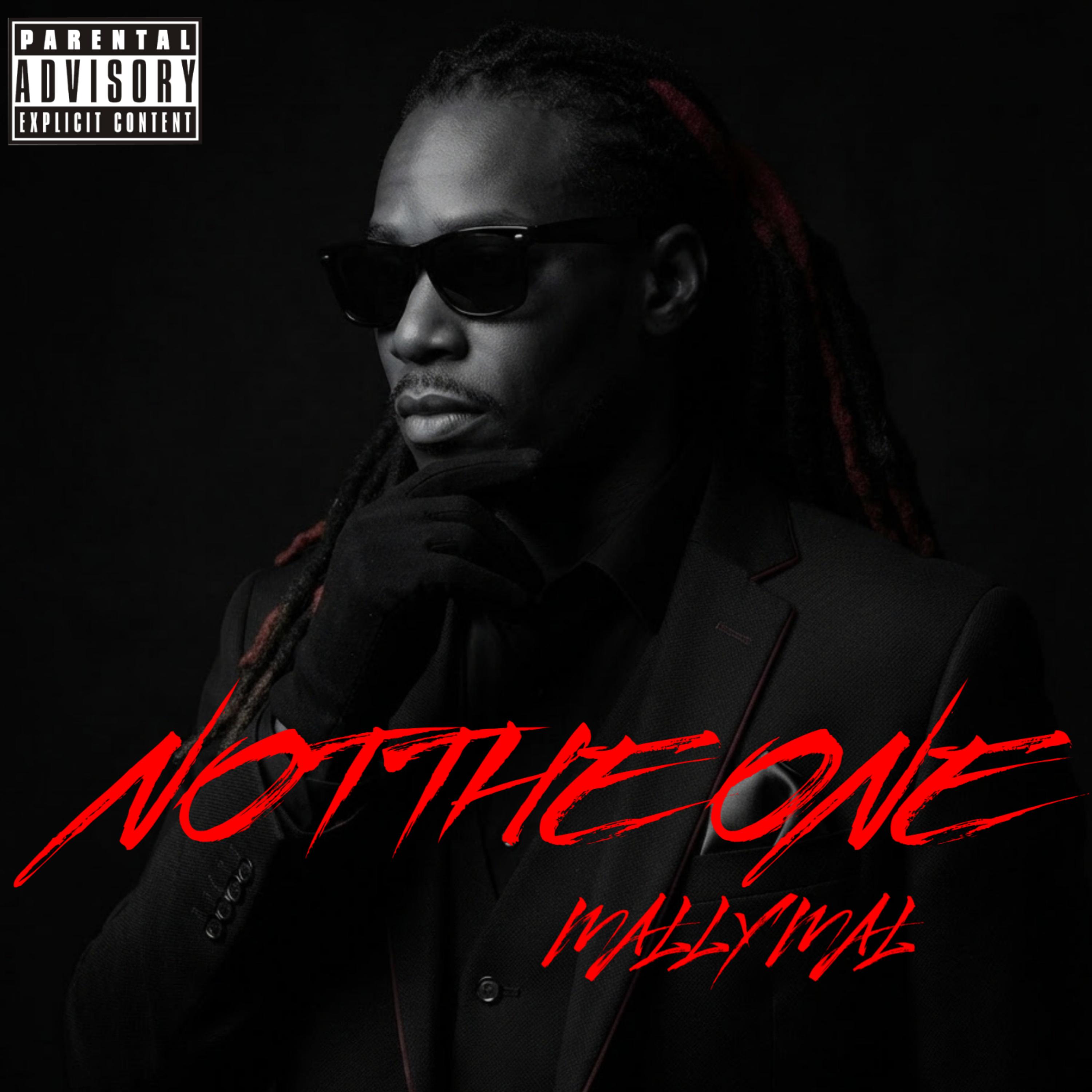 NOT THE ONE by MALLY MAL cover art