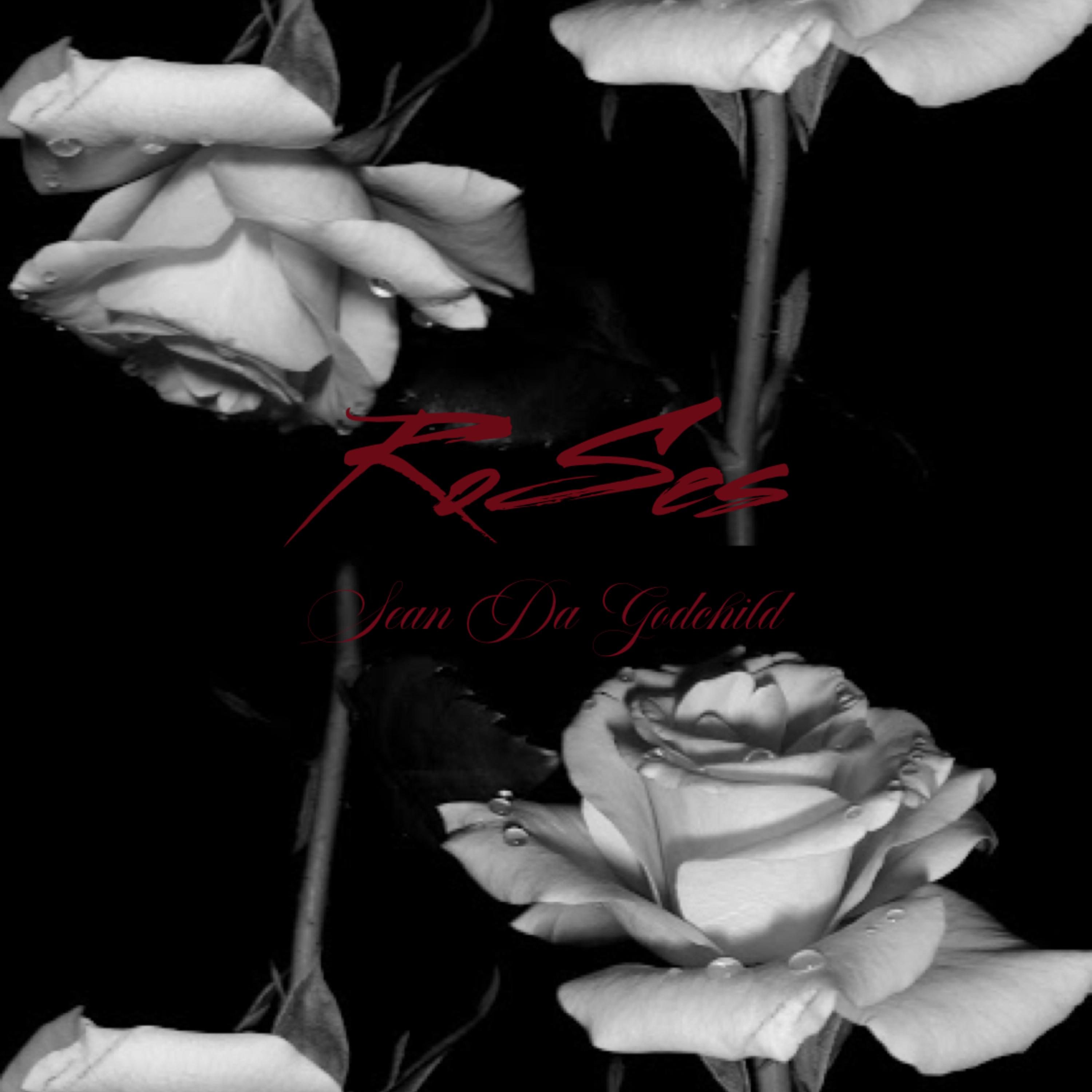 Roses artwork