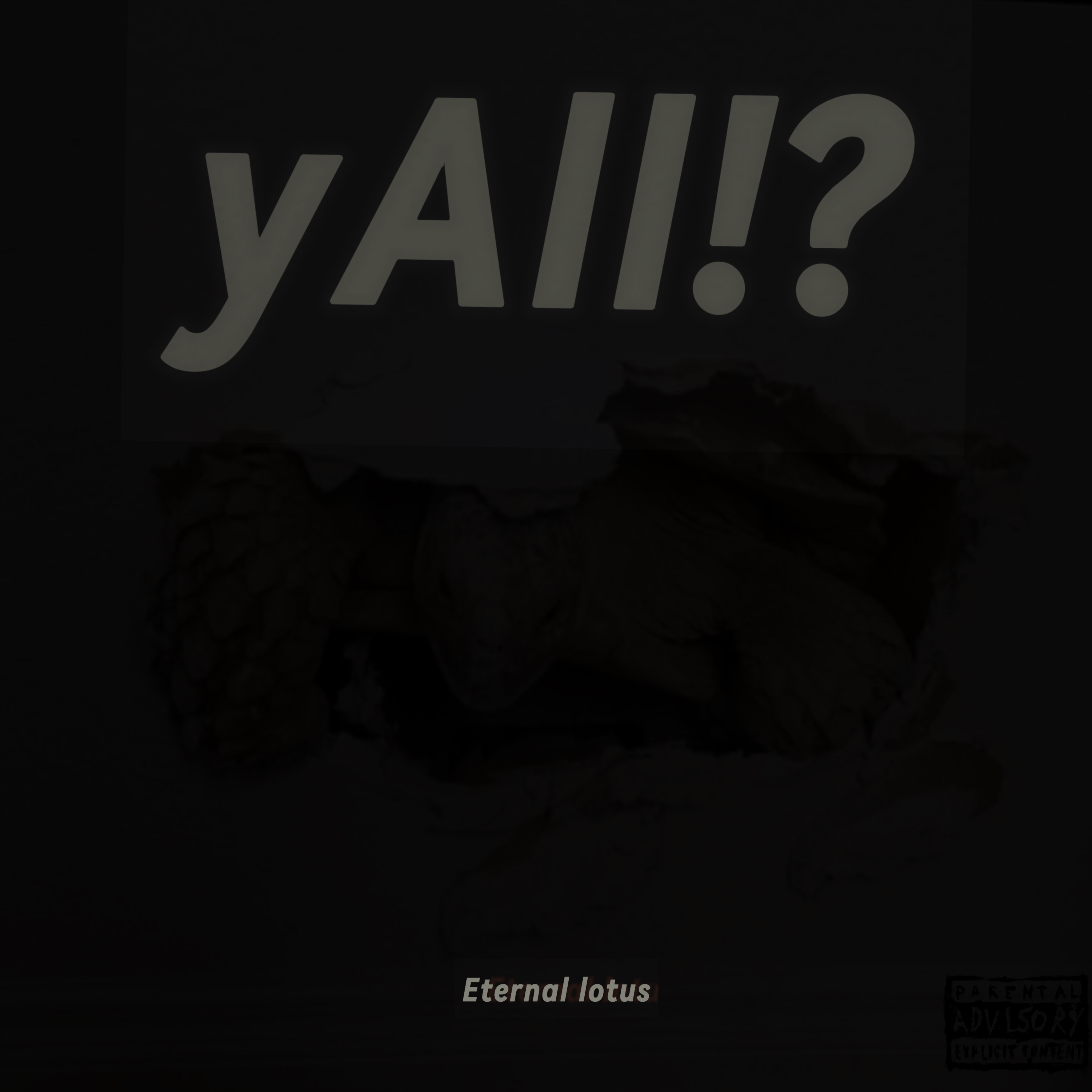 yAll!? artwork