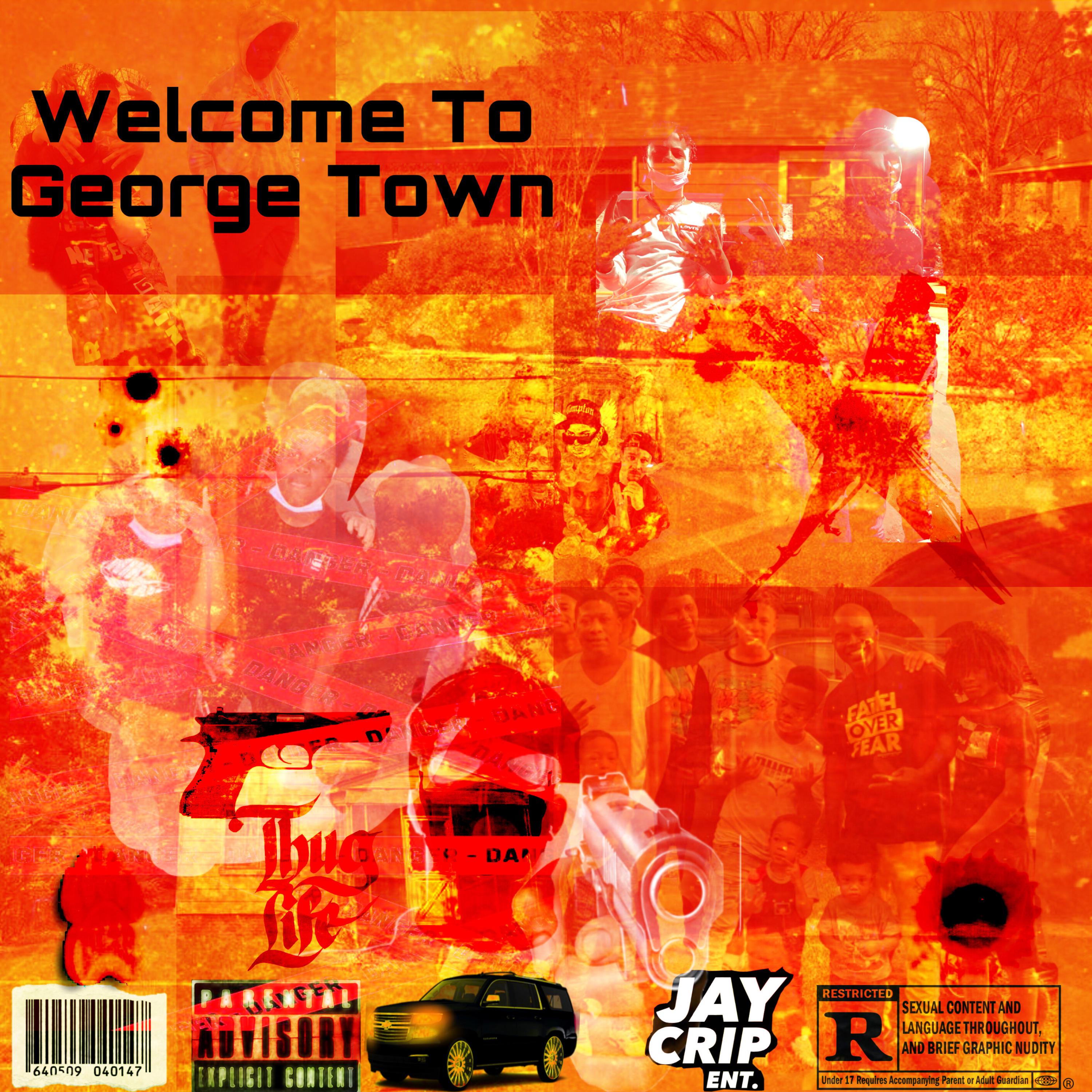 Welcome To George Town artwork