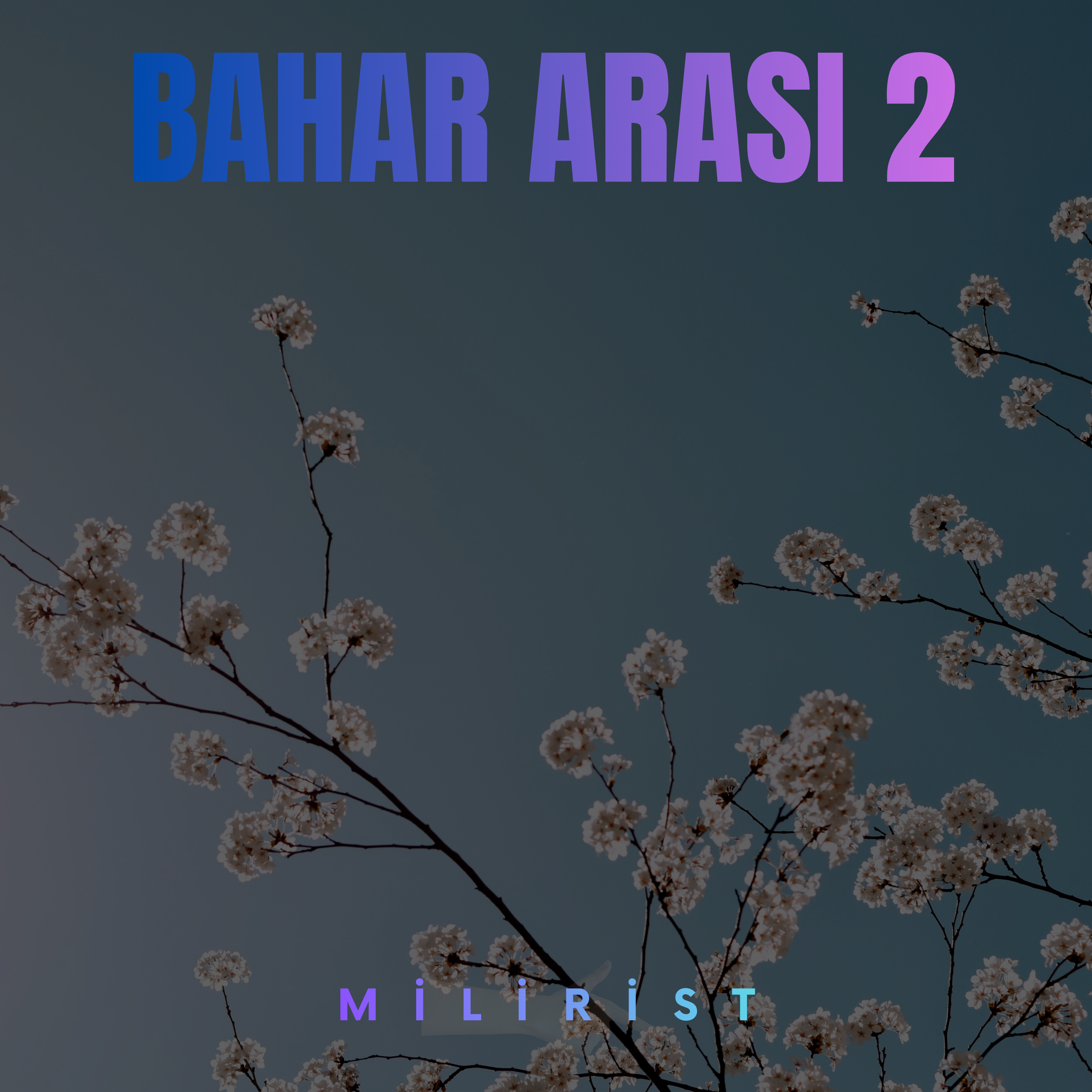 Bahar Arası 2 artwork