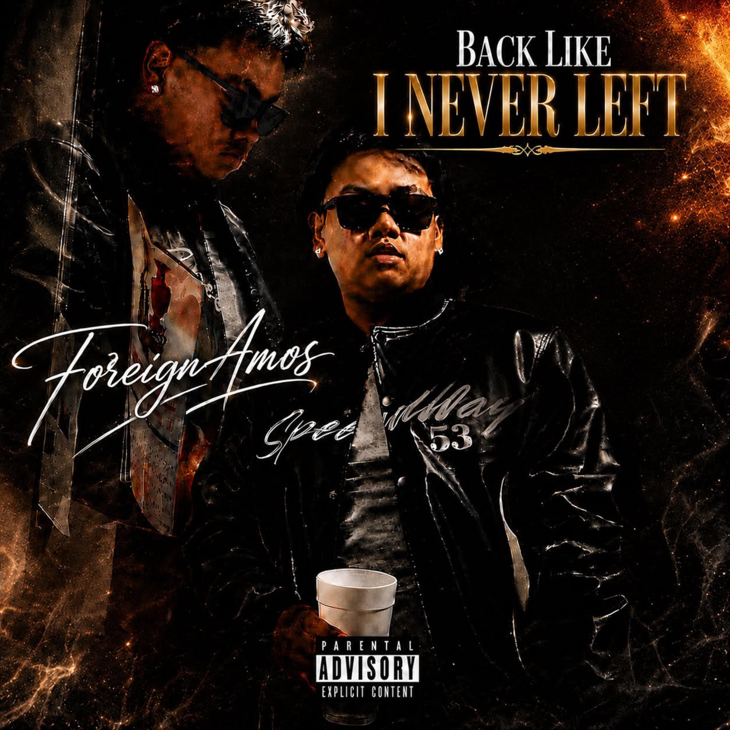 Back Like I Never Left by ForeignAmos cover art