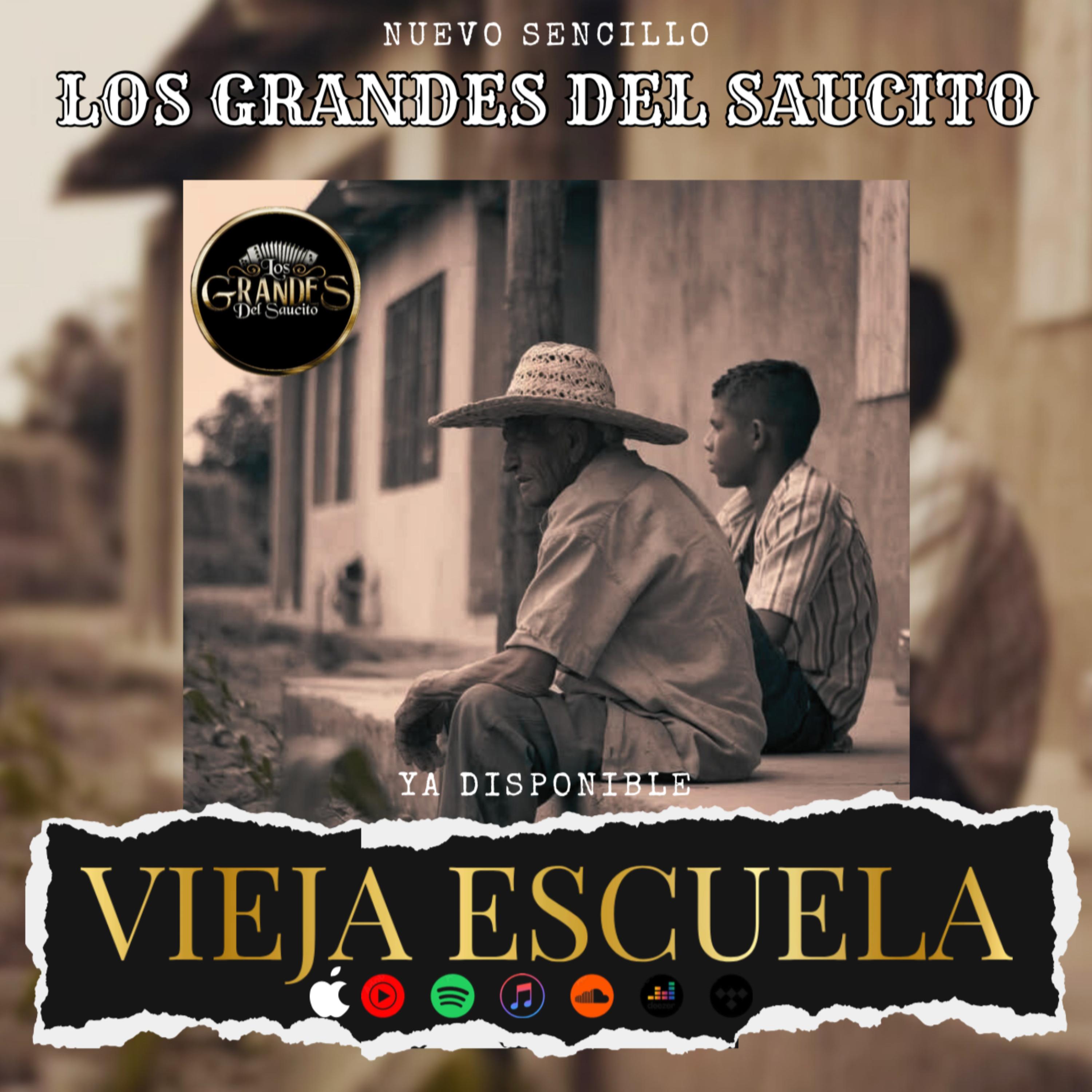 Vieja Escuela artwork