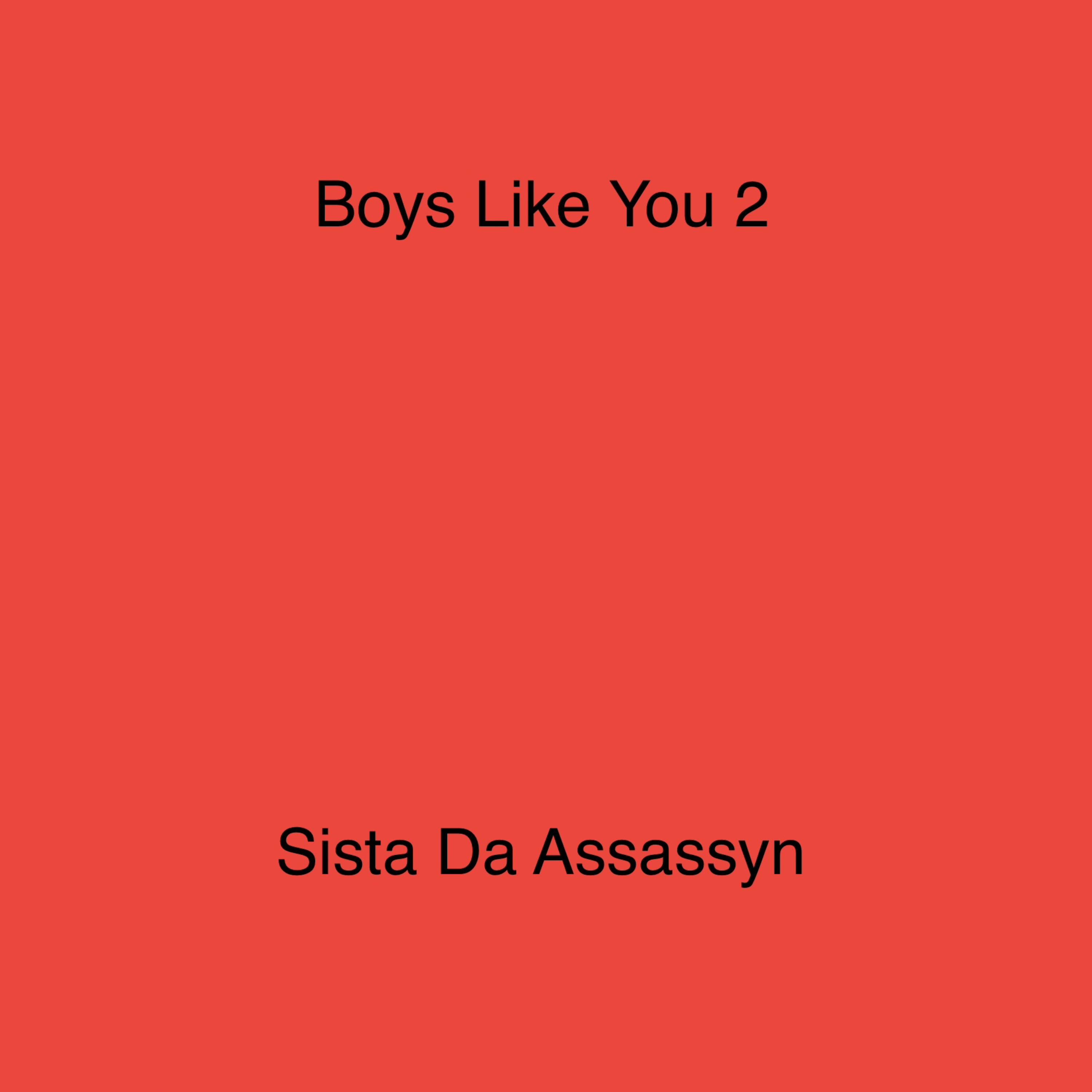 Boys Like You 2 by Sista Da Assassyn cover art