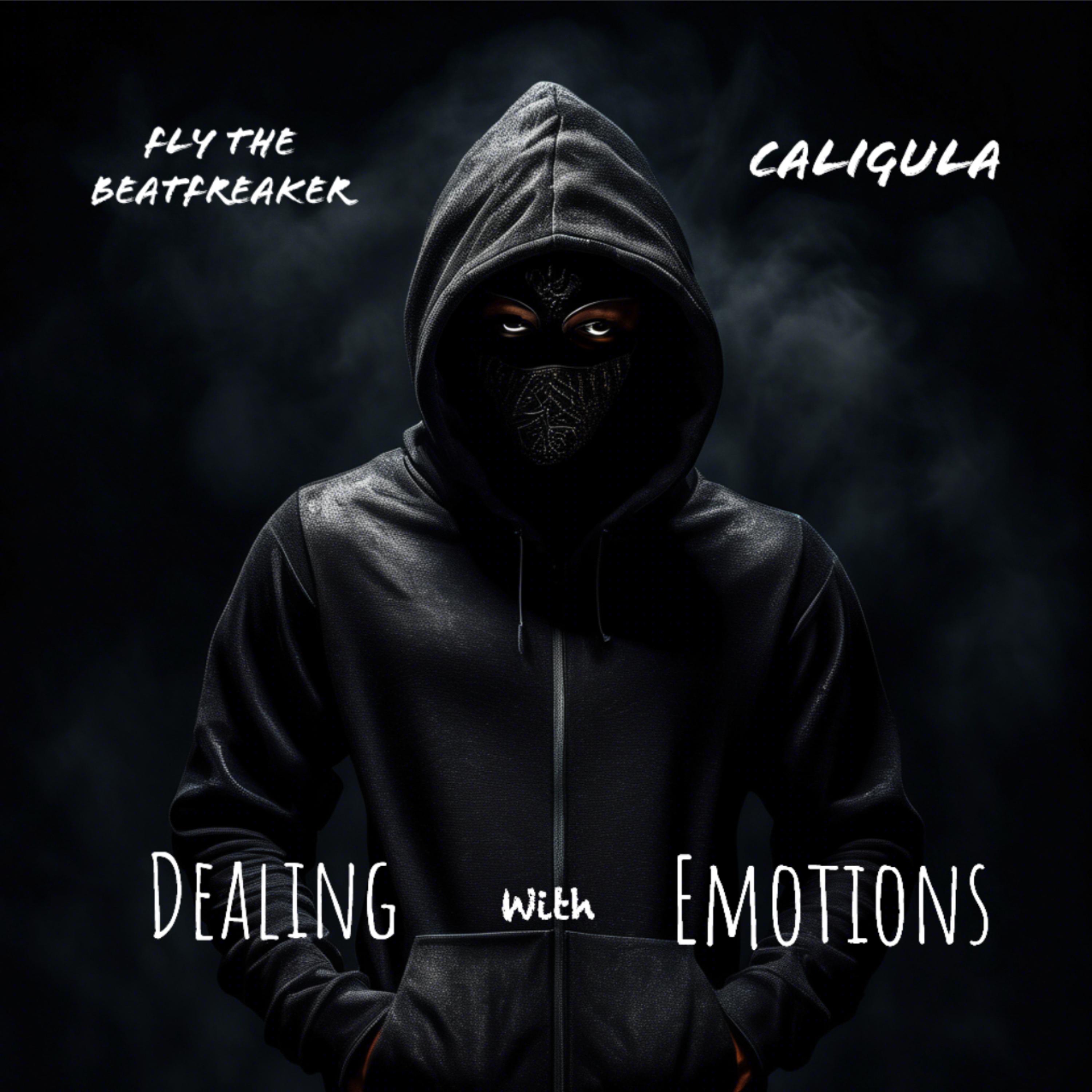 Dealing With Emotions artwork