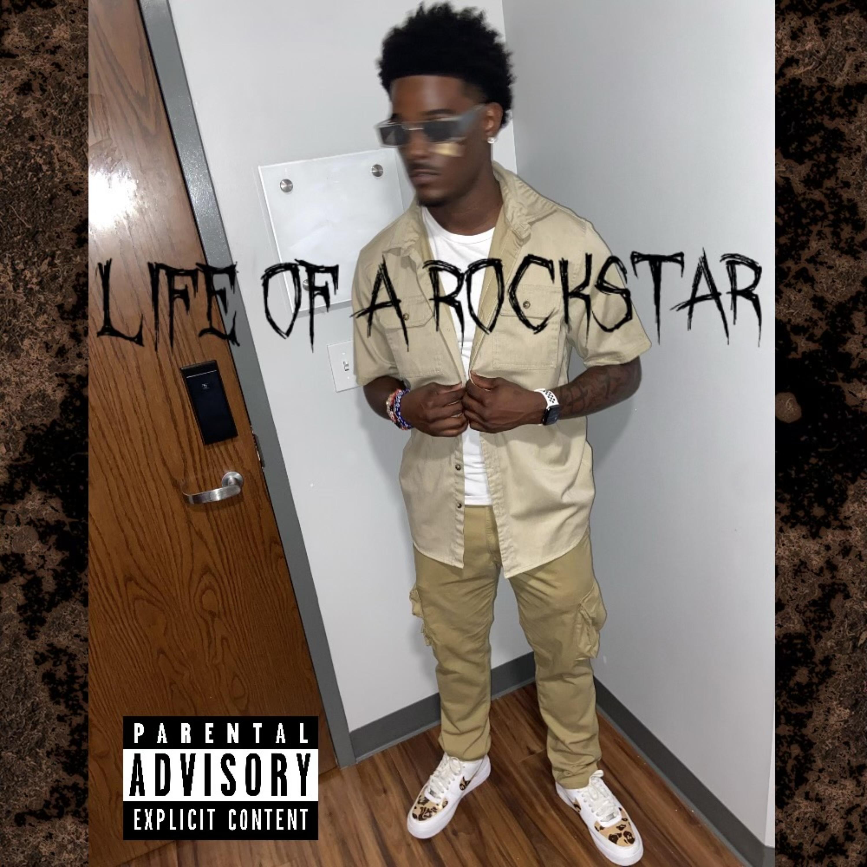 Life of a Rockstar artwork
