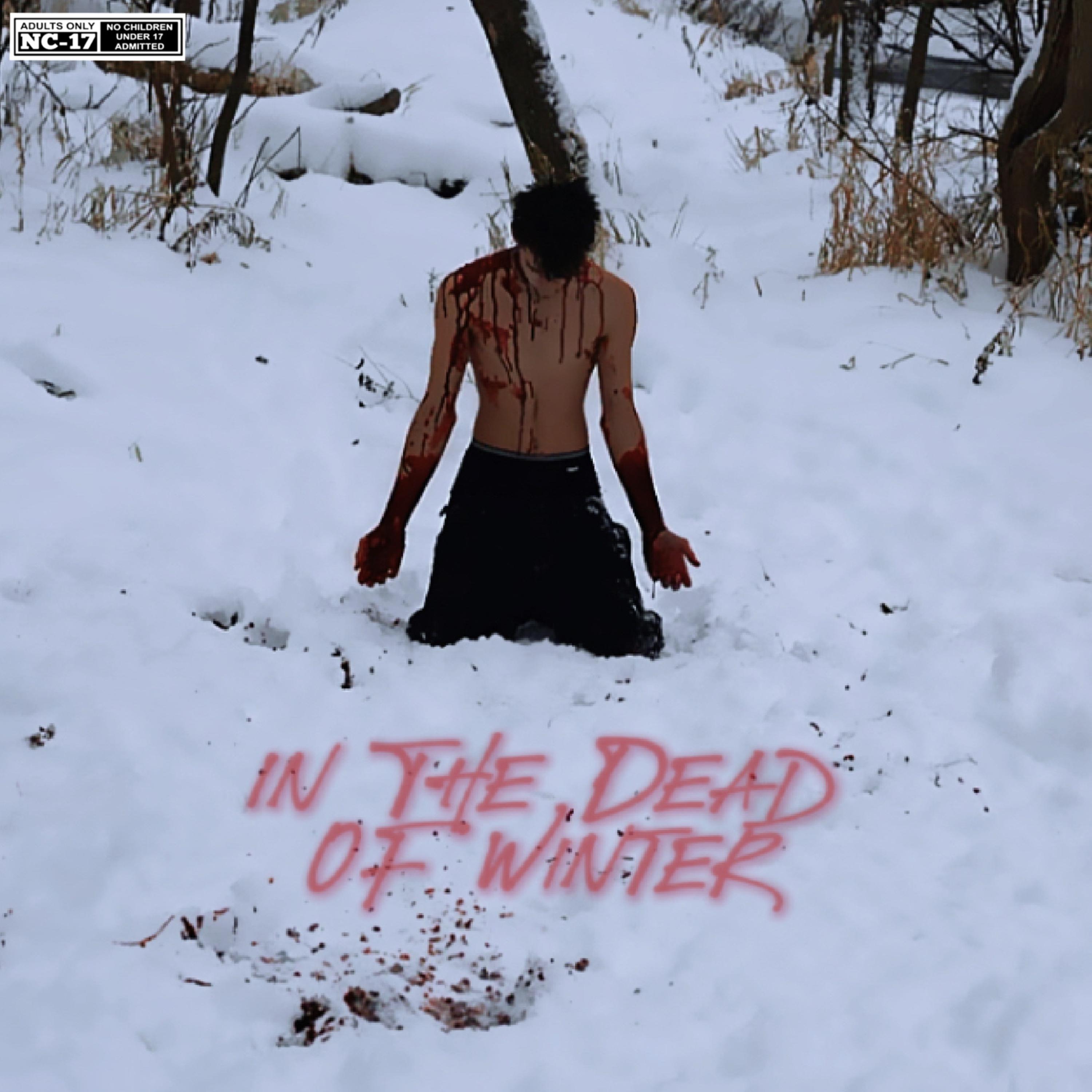In the Dead of Winter artwork