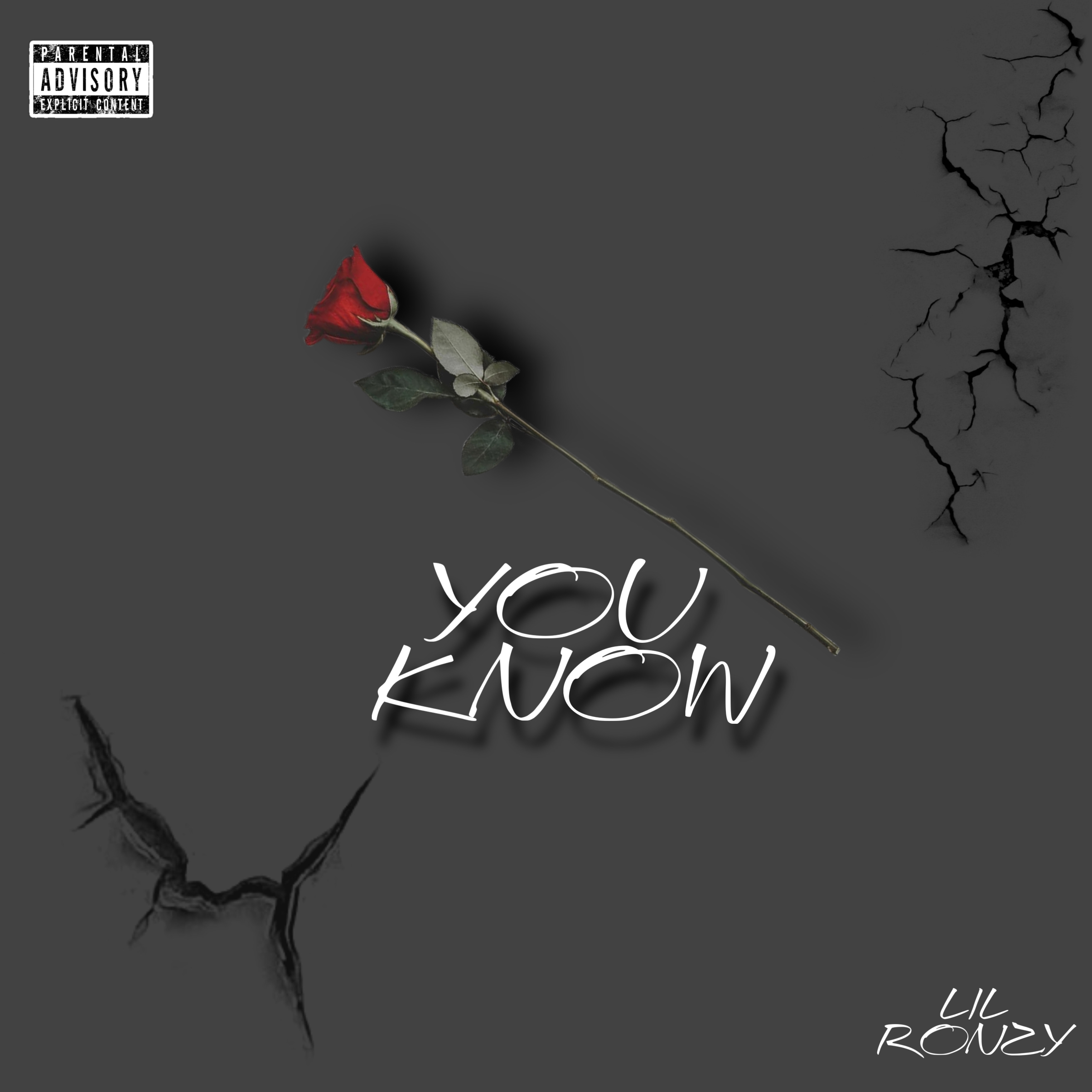 YOU KNOW artwork