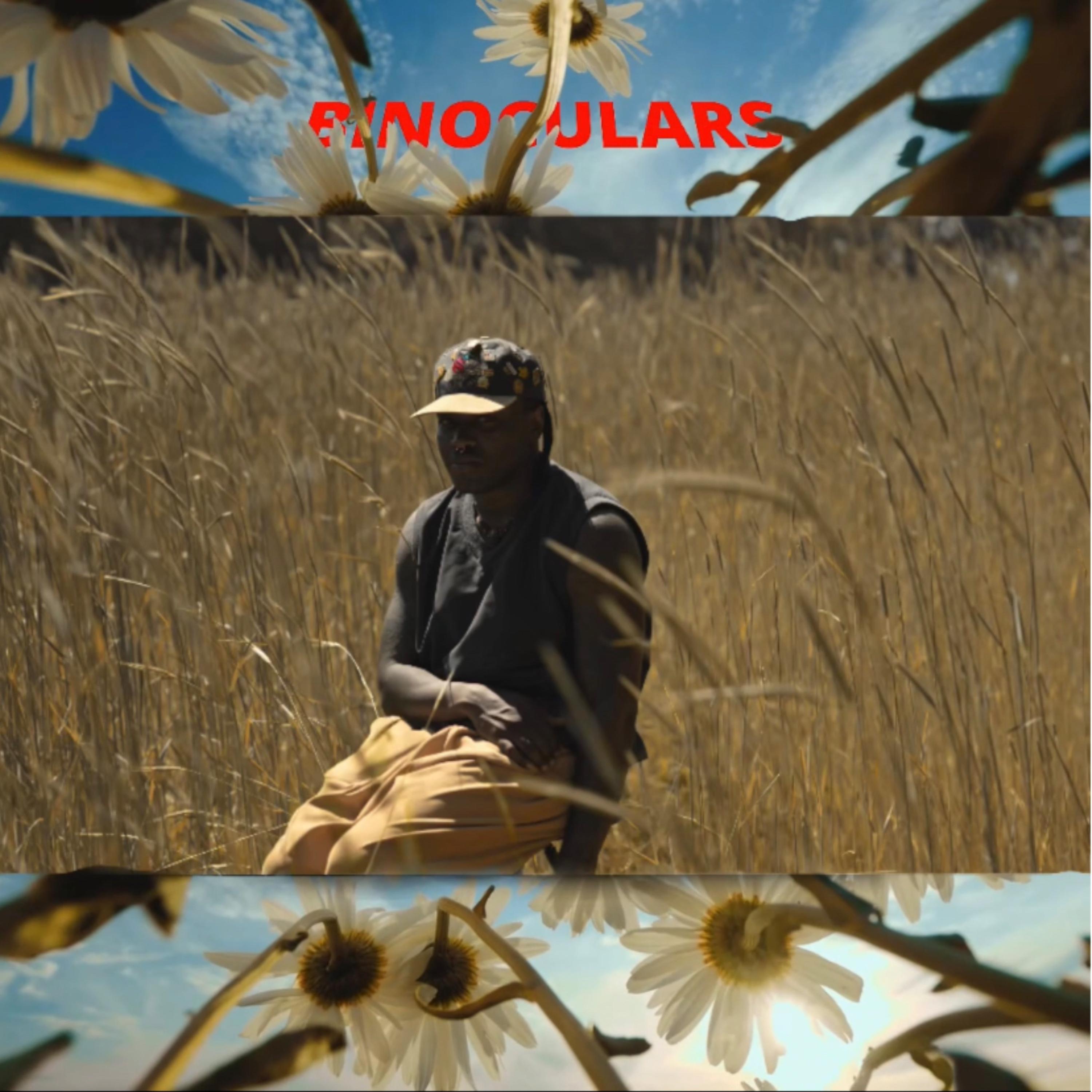 Binoculars artwork