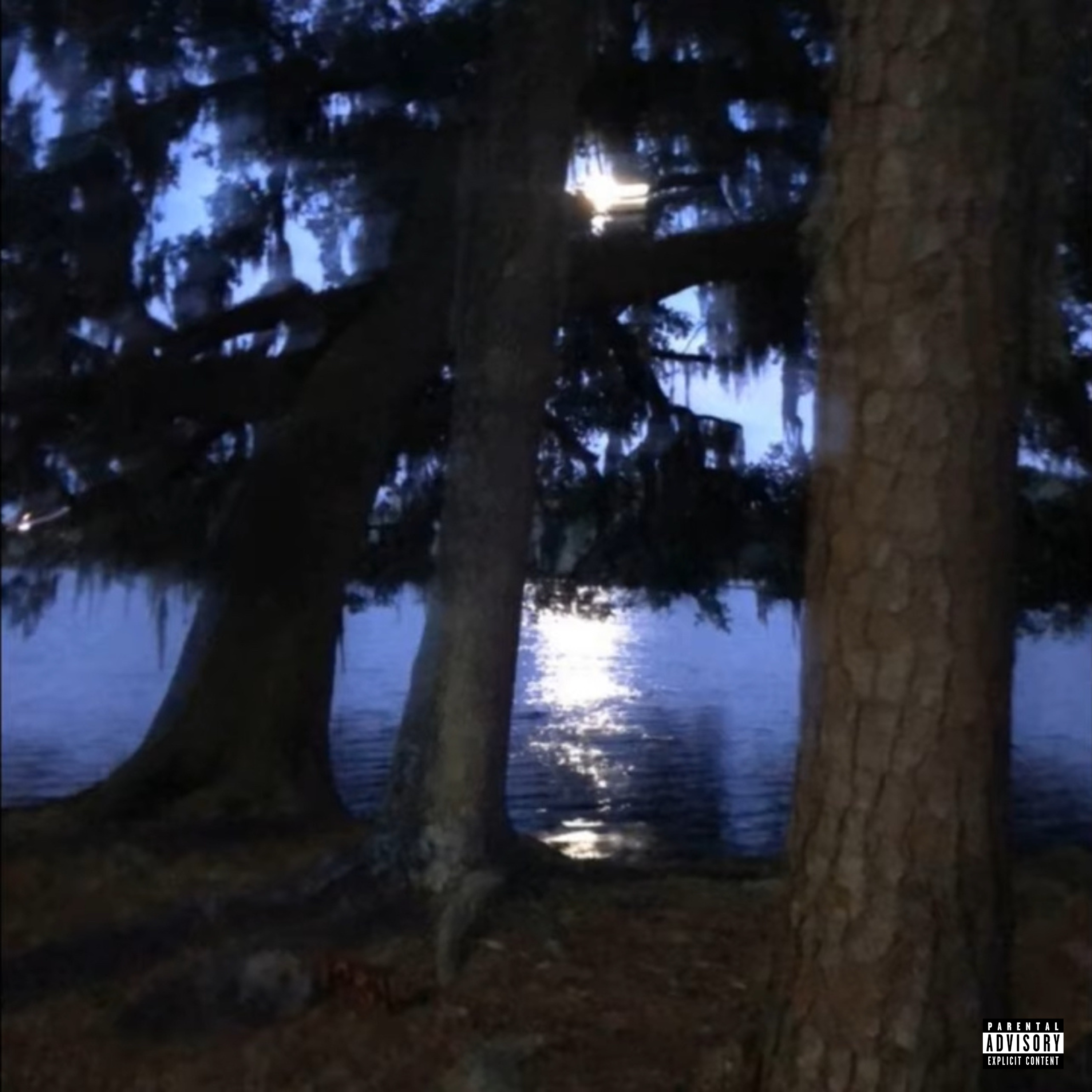 NOW OR NEVER artwork