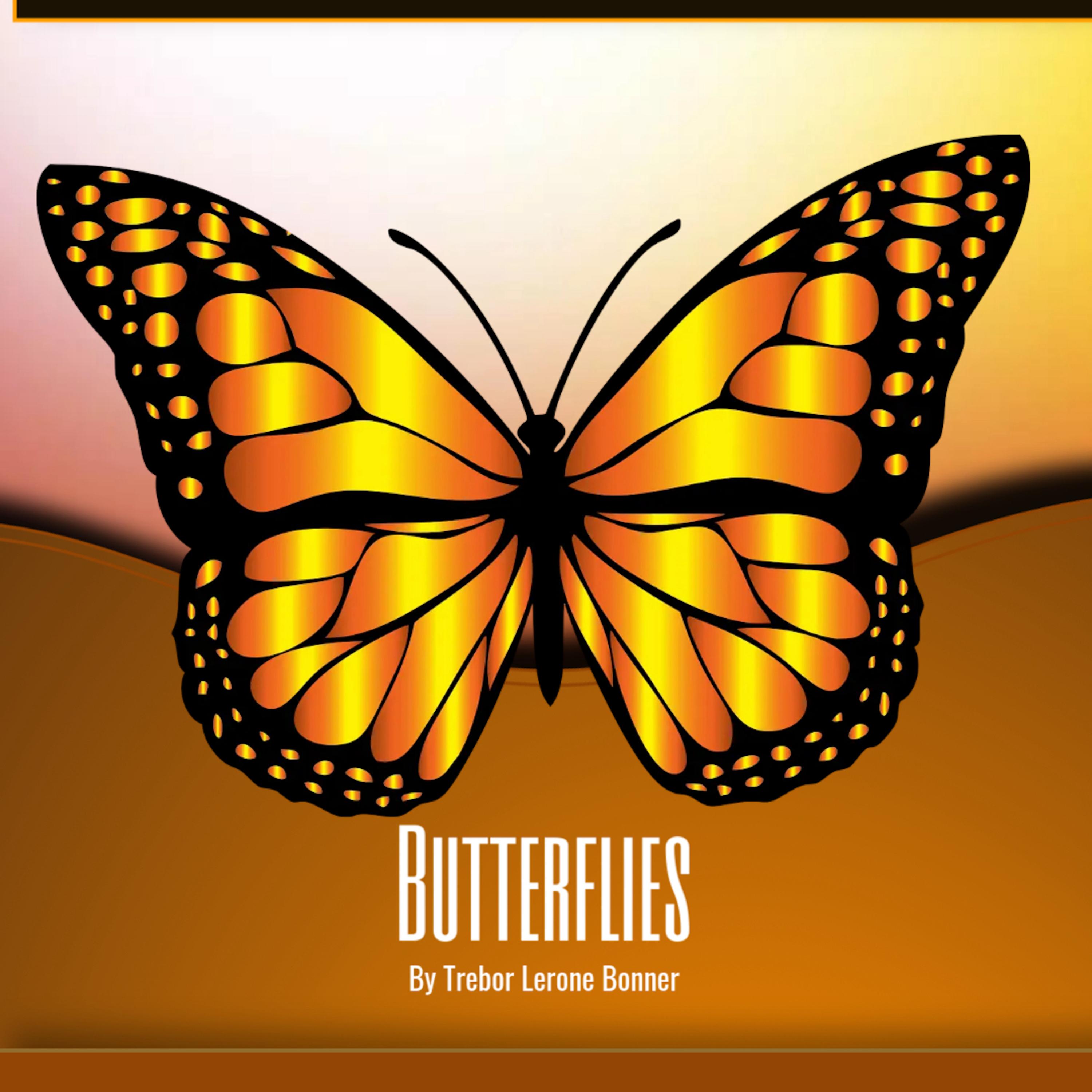 Butterflies artwork