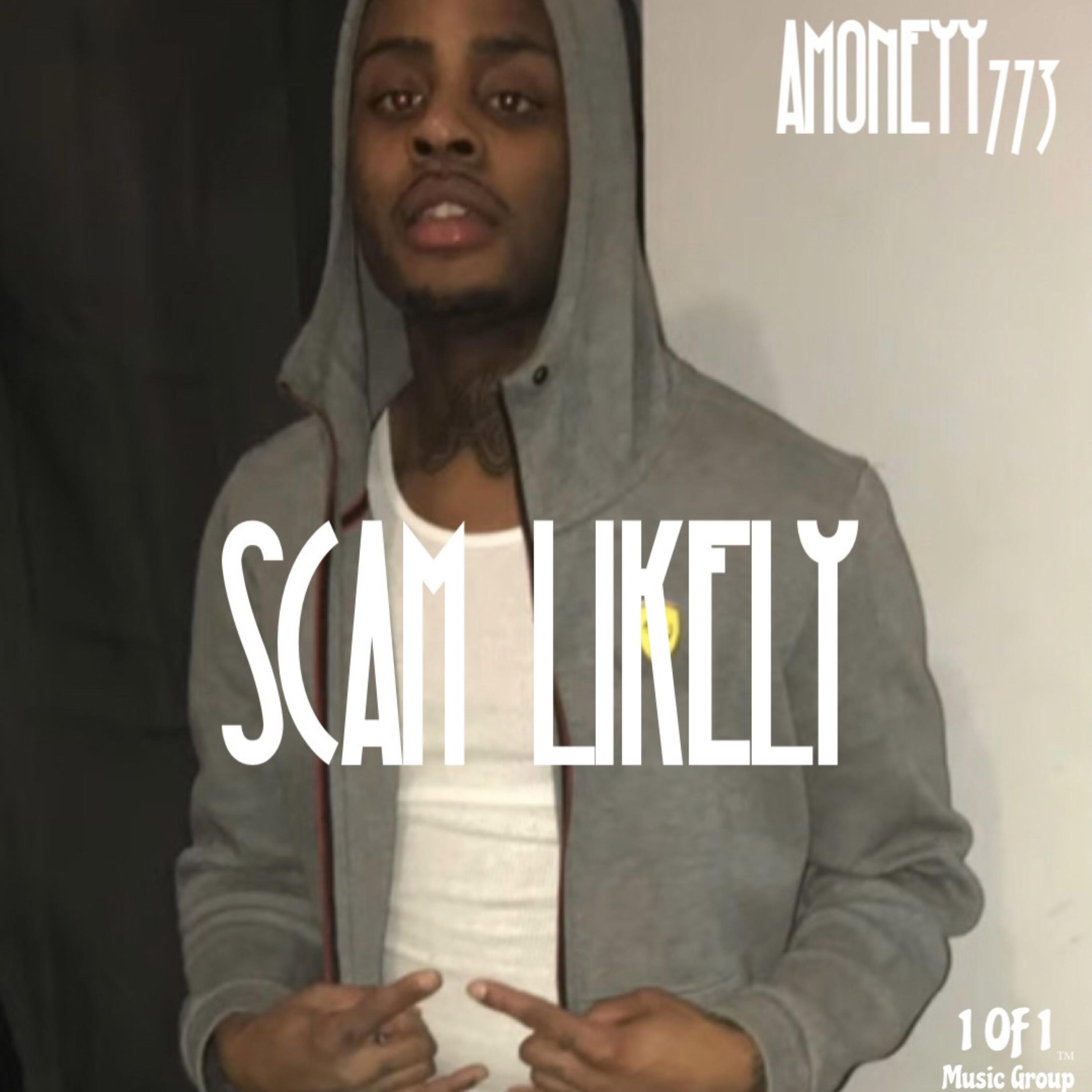 SCAM LIKELY artwork