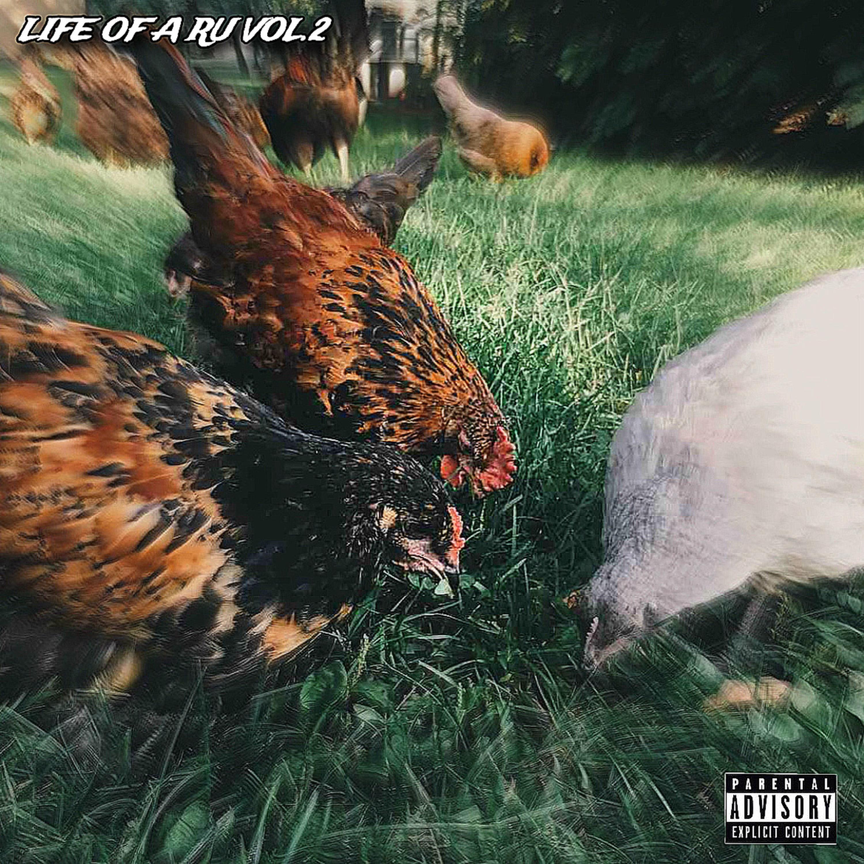 Life Of A Ru Vol.2 artwork