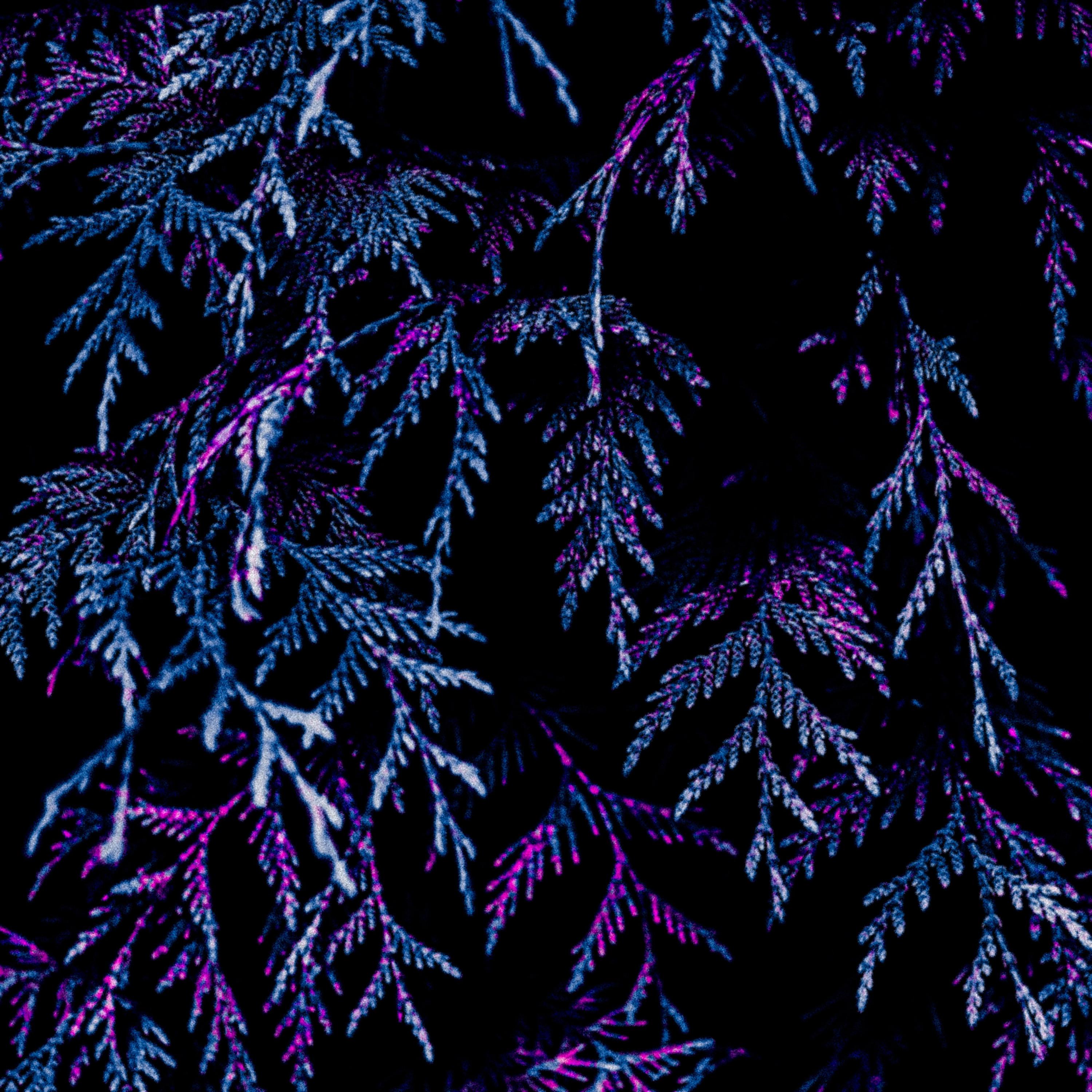 Still Don't Want That artwork