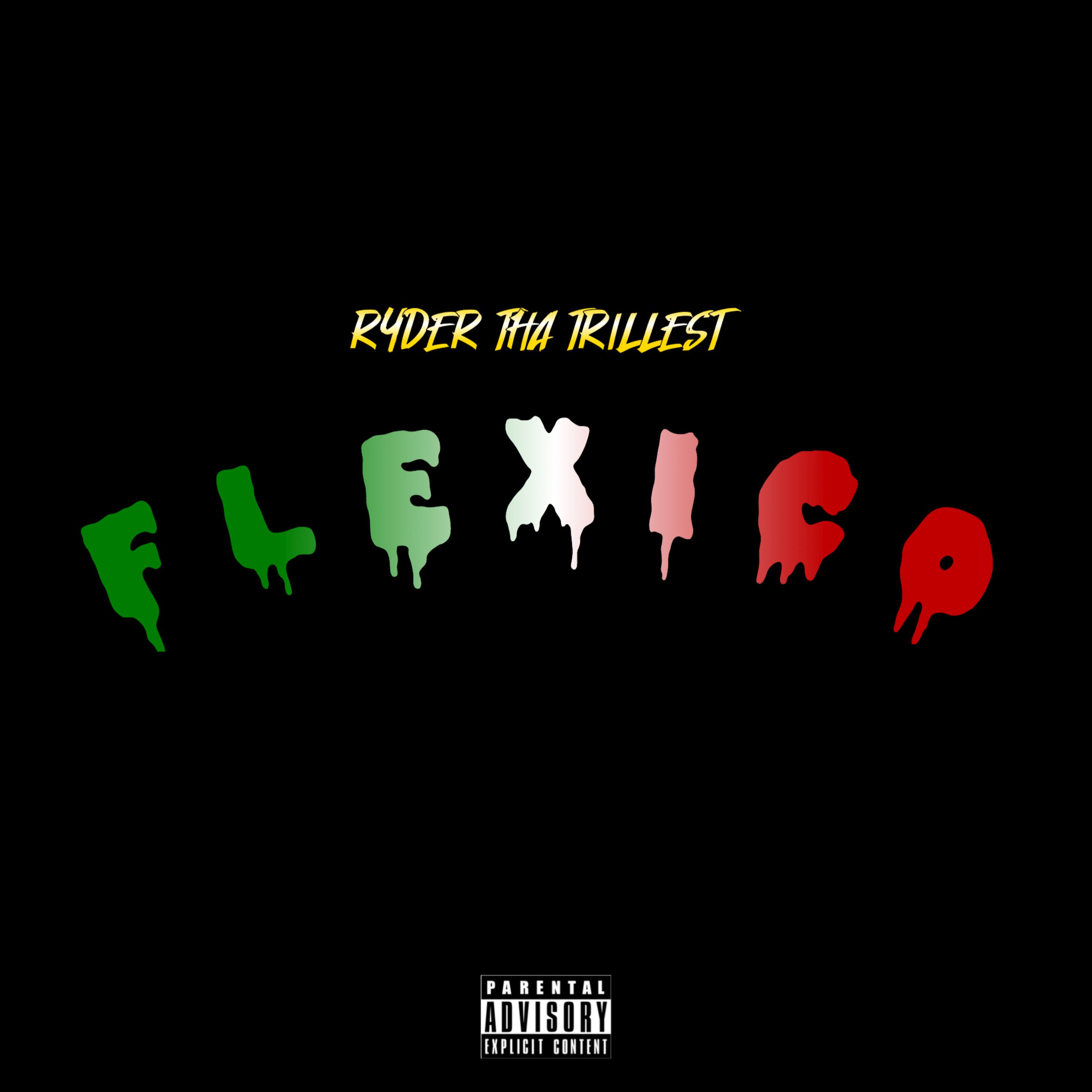 FLEXICO artwork