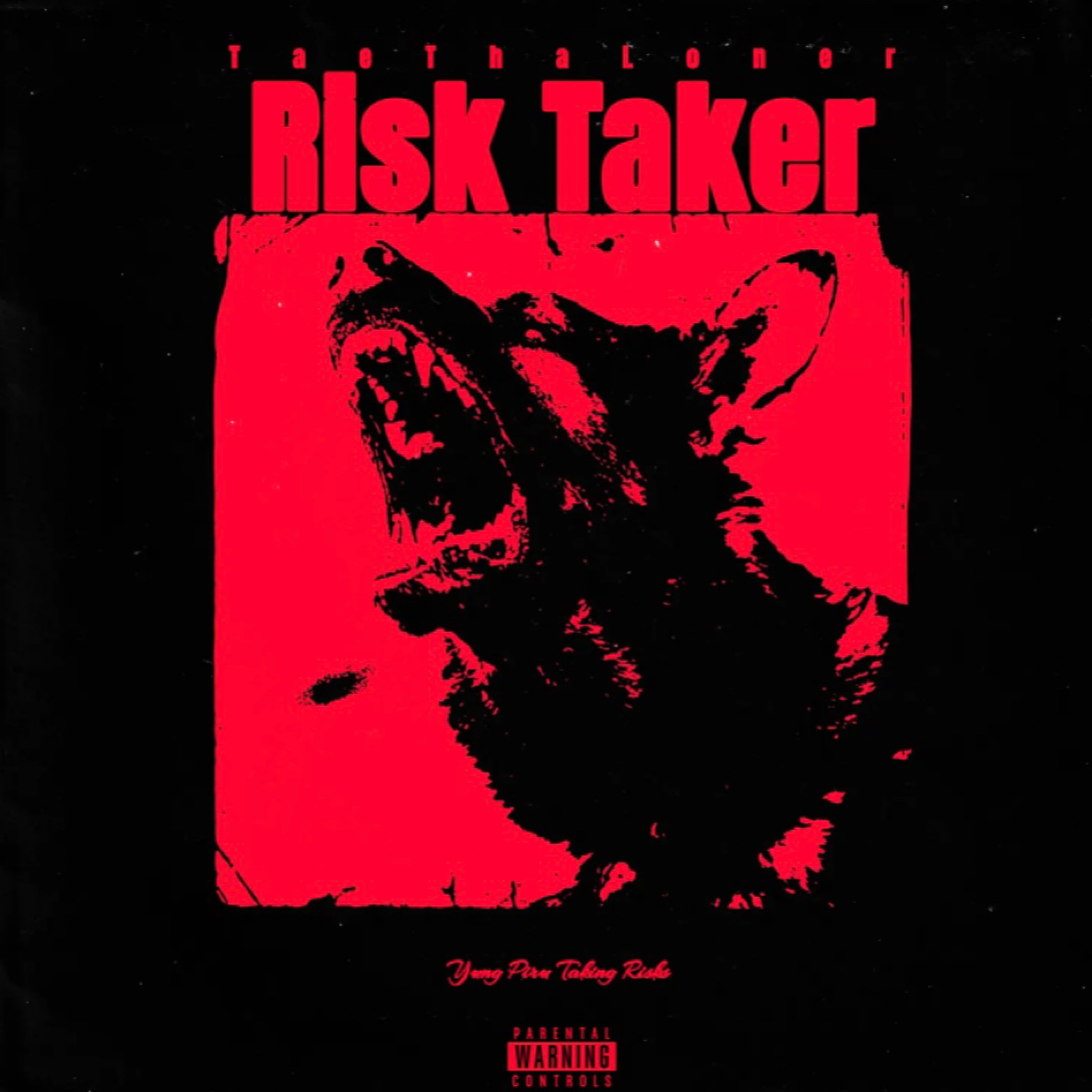 Risk Taker artwork
