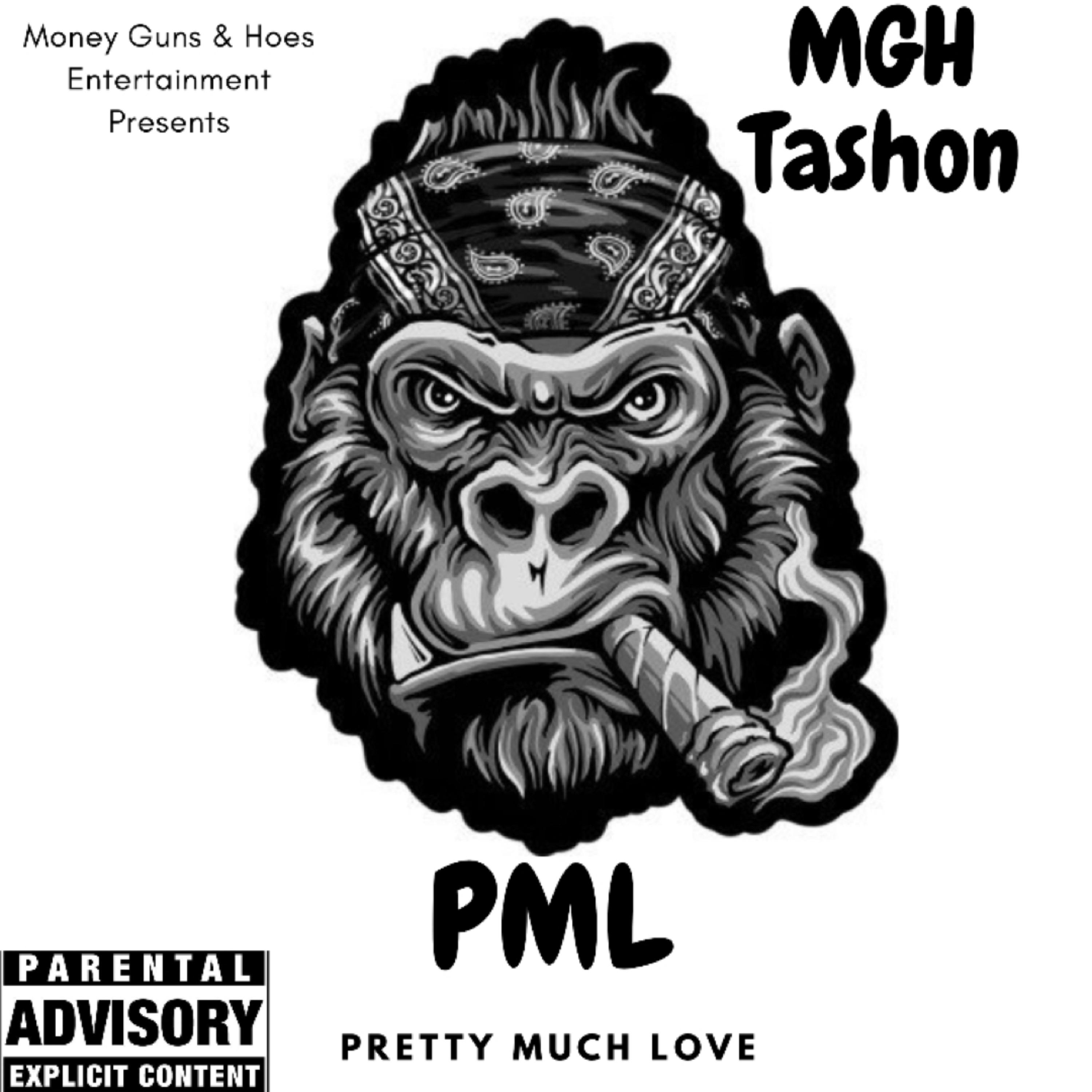 Pml artwork