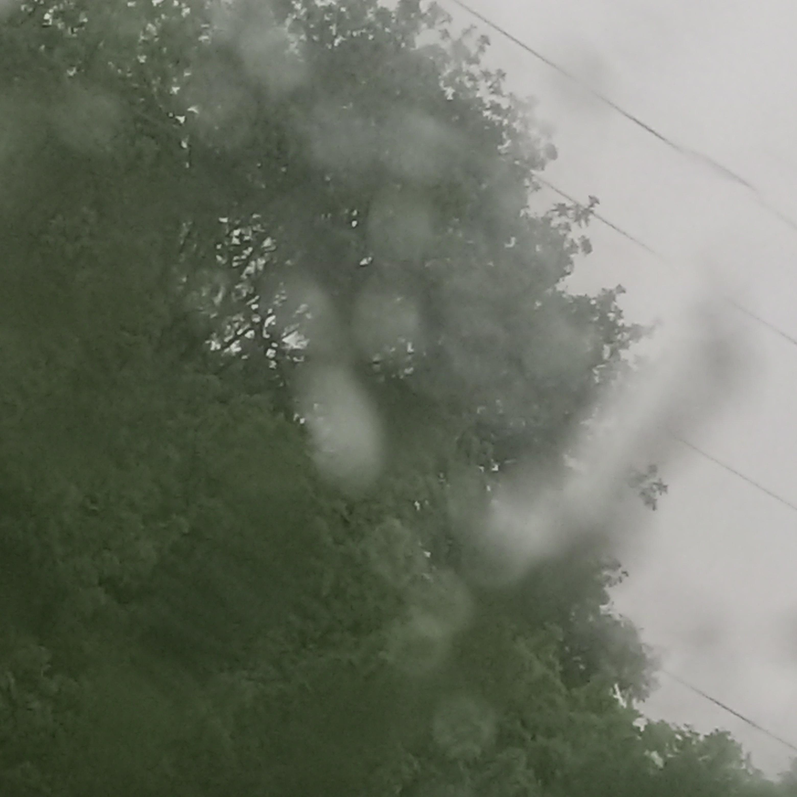 Weird Freestyle artwork