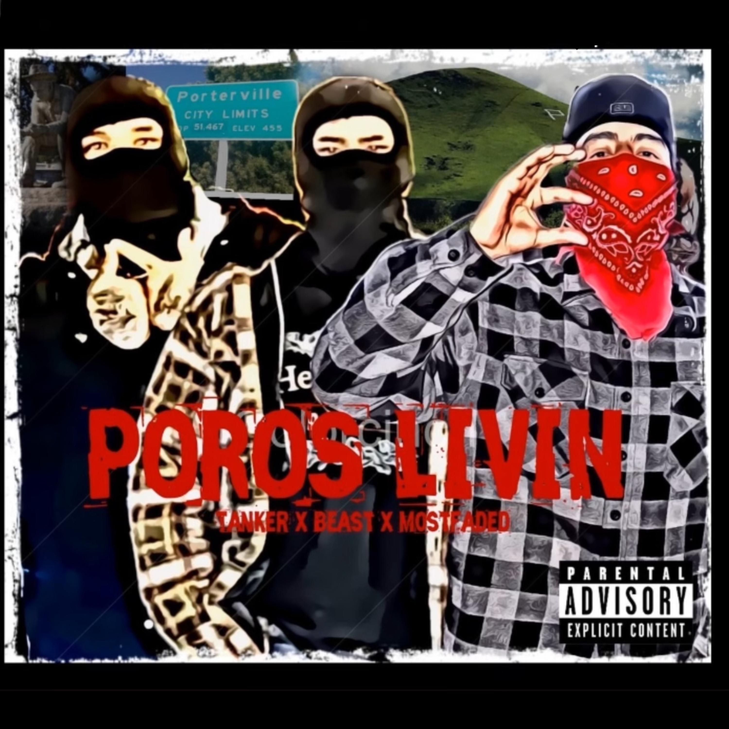 POROS LIVIN artwork