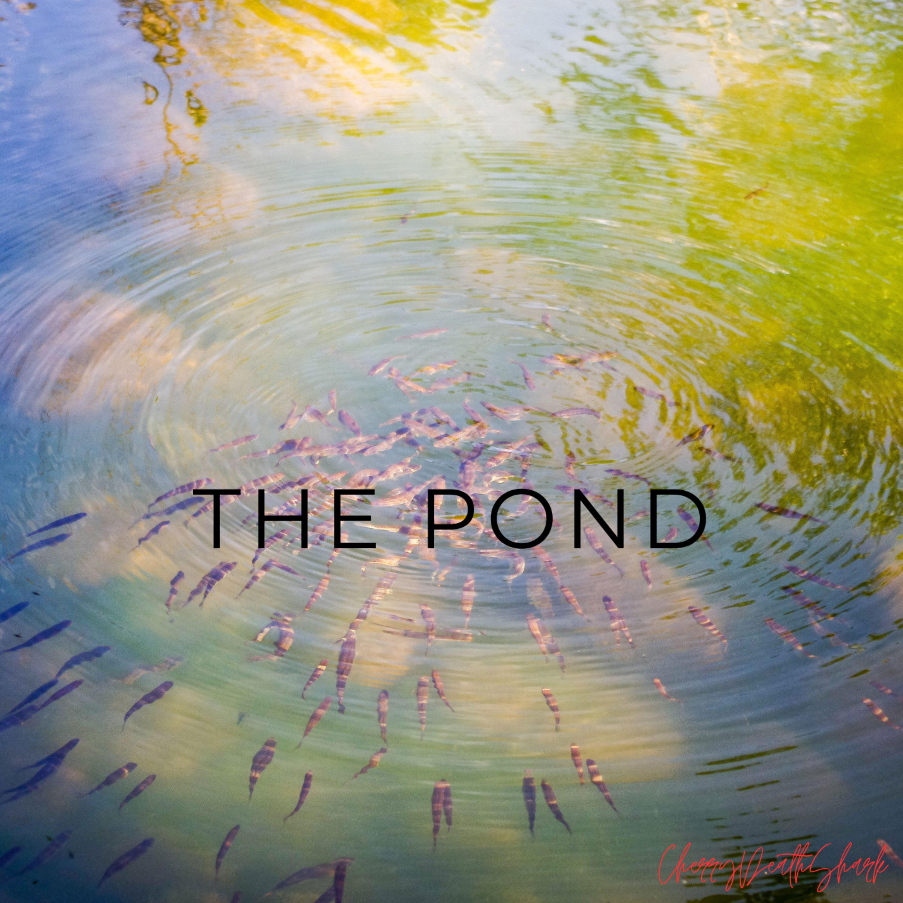 The Pond artwork