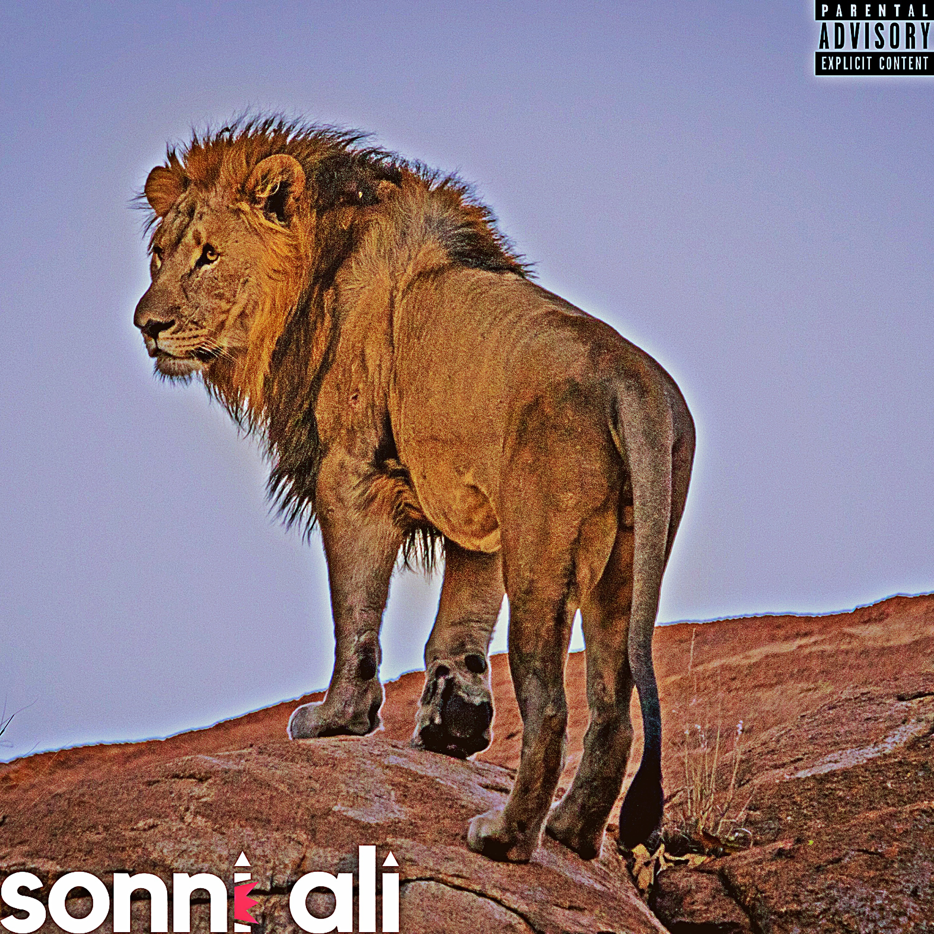 Sonni's Playground by Sonni Ali cover art