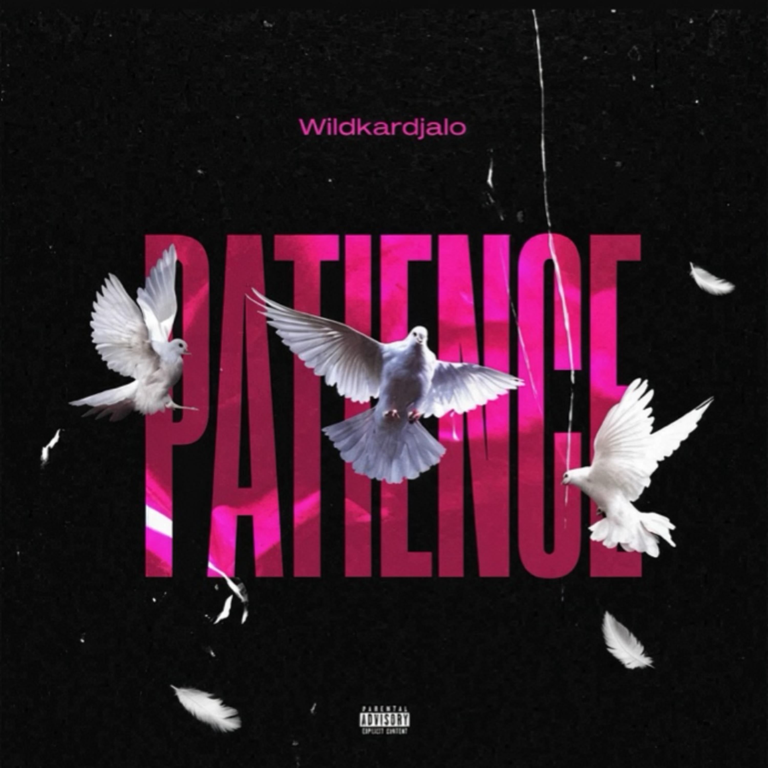 Patience by Wildkardjalo cover art