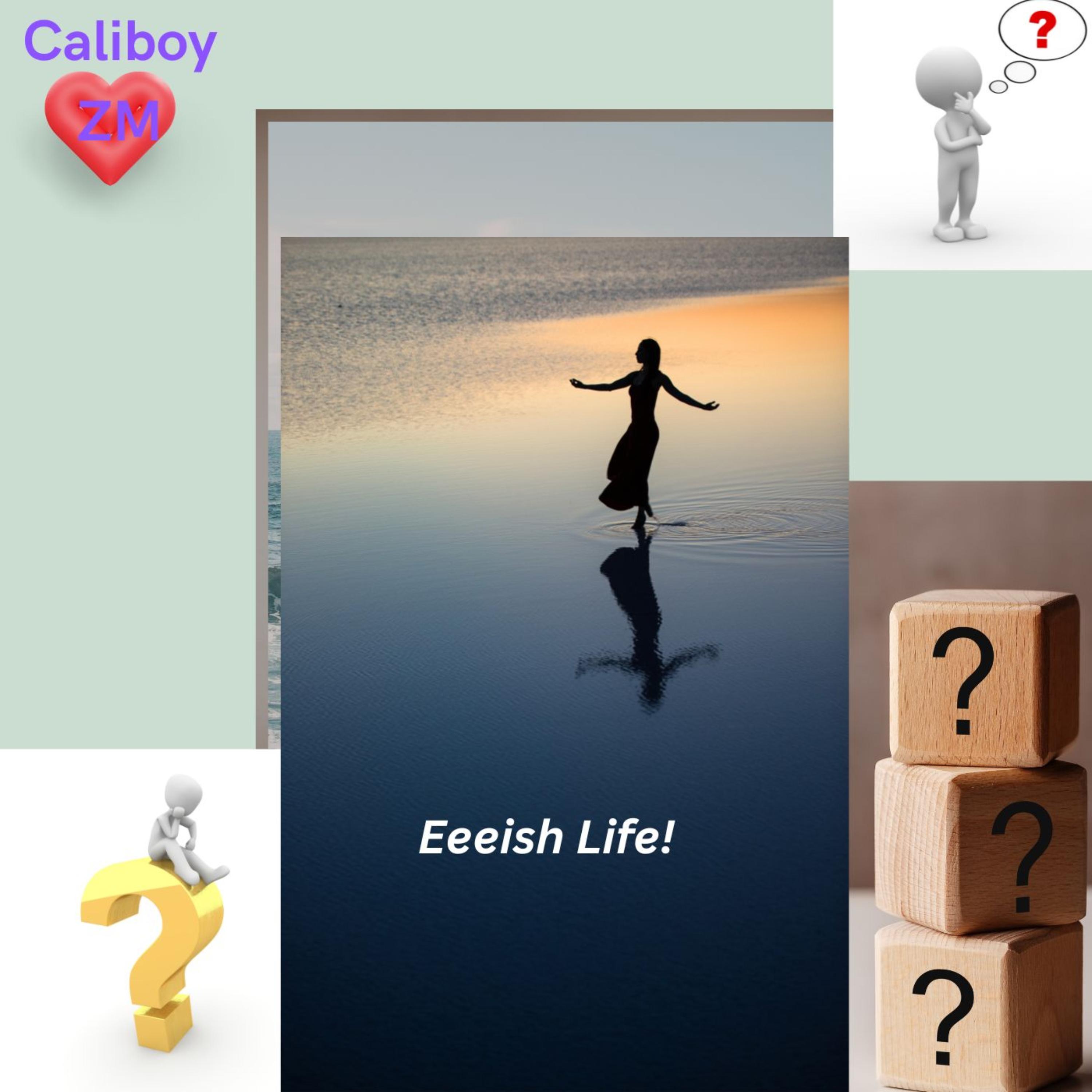 Eeeish Life by Caliboy ZM cover art