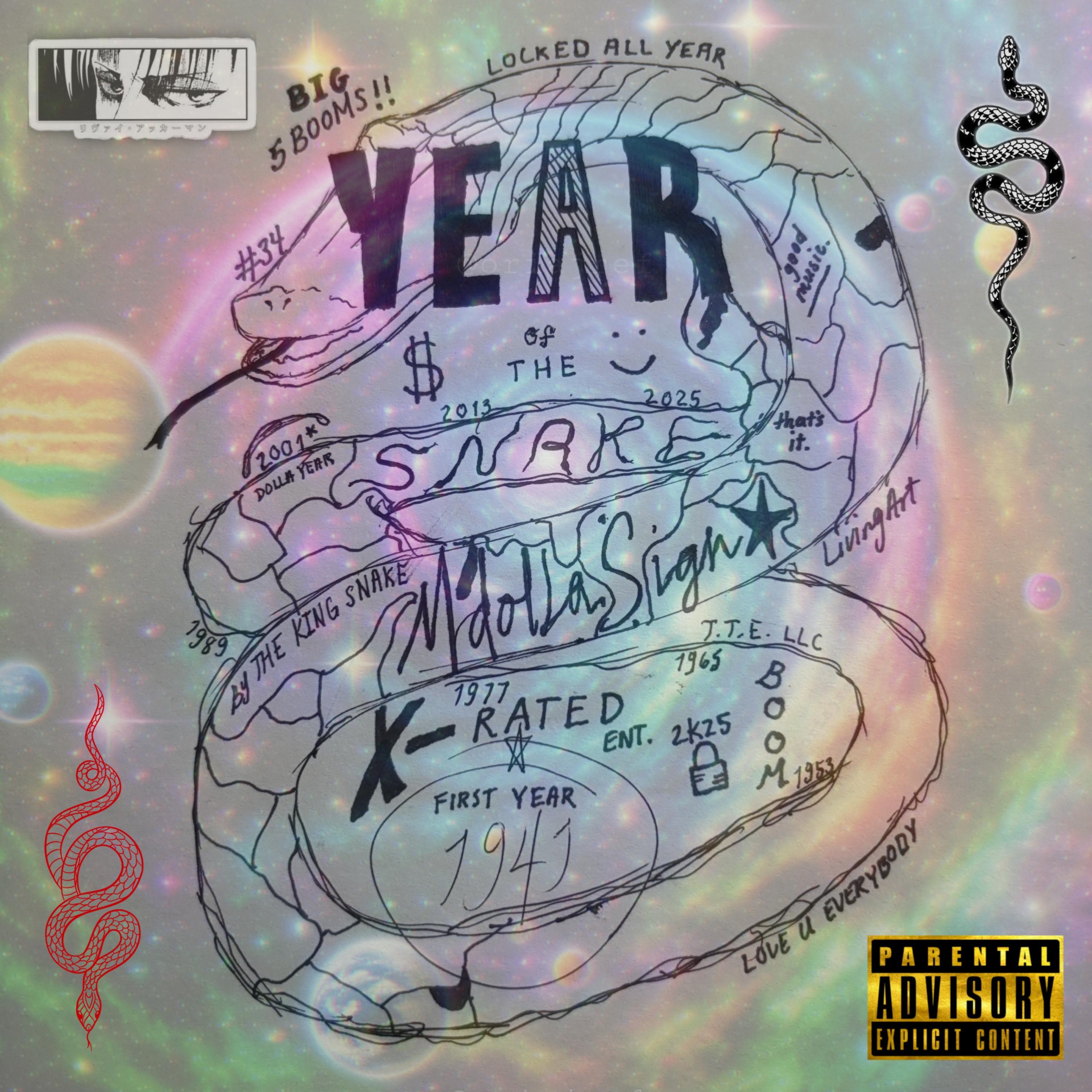 YEAR of the SNAKE artwork
