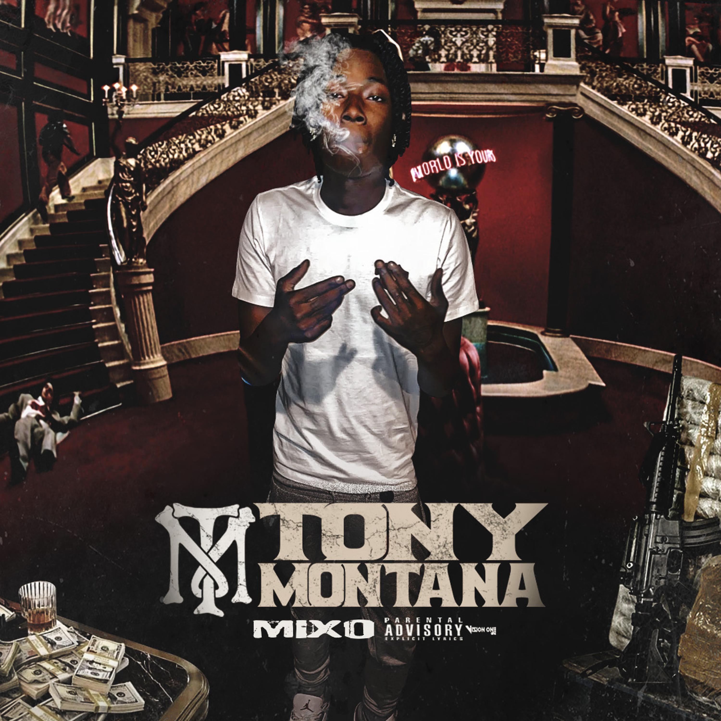 TonyMontana artwork