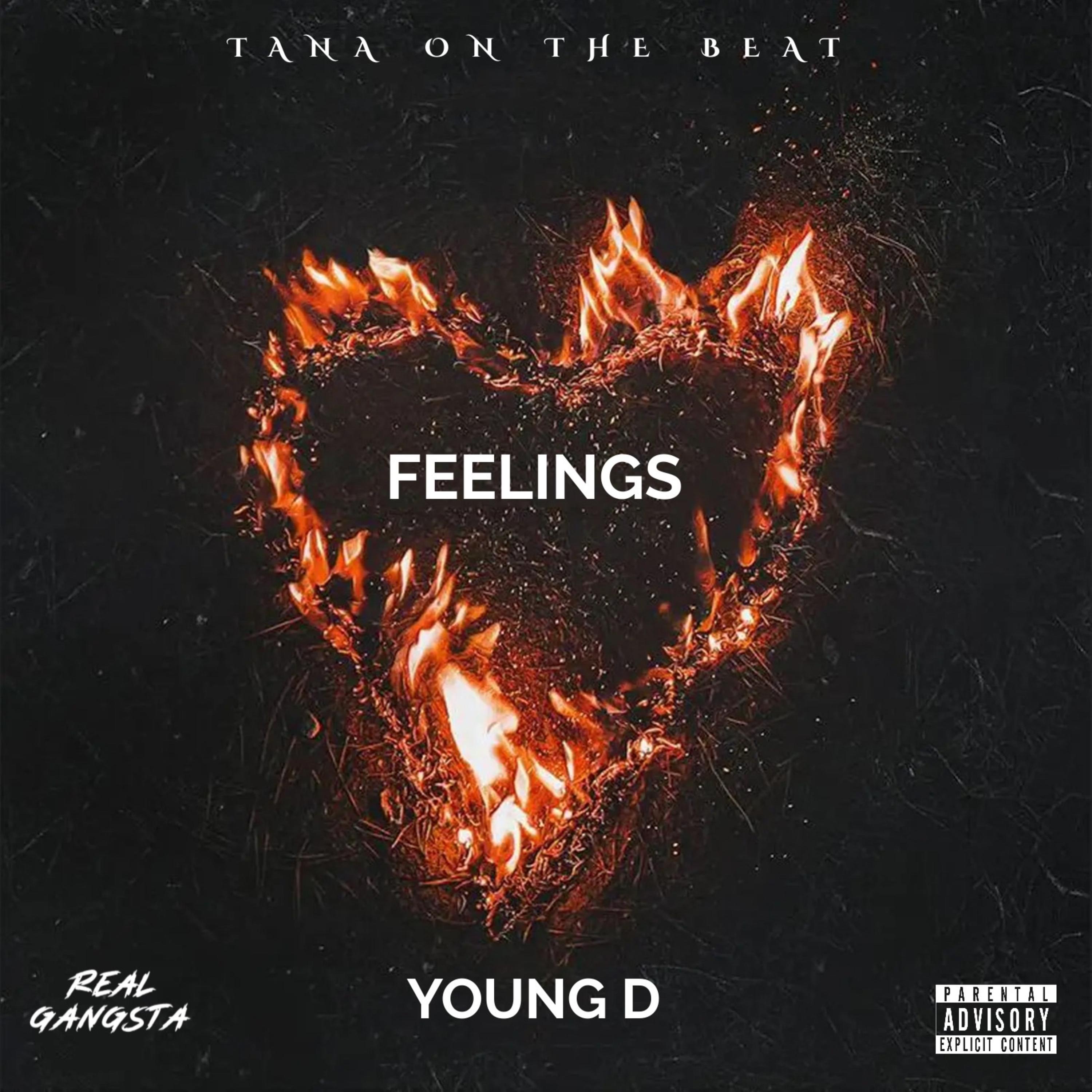 Feelings artwork