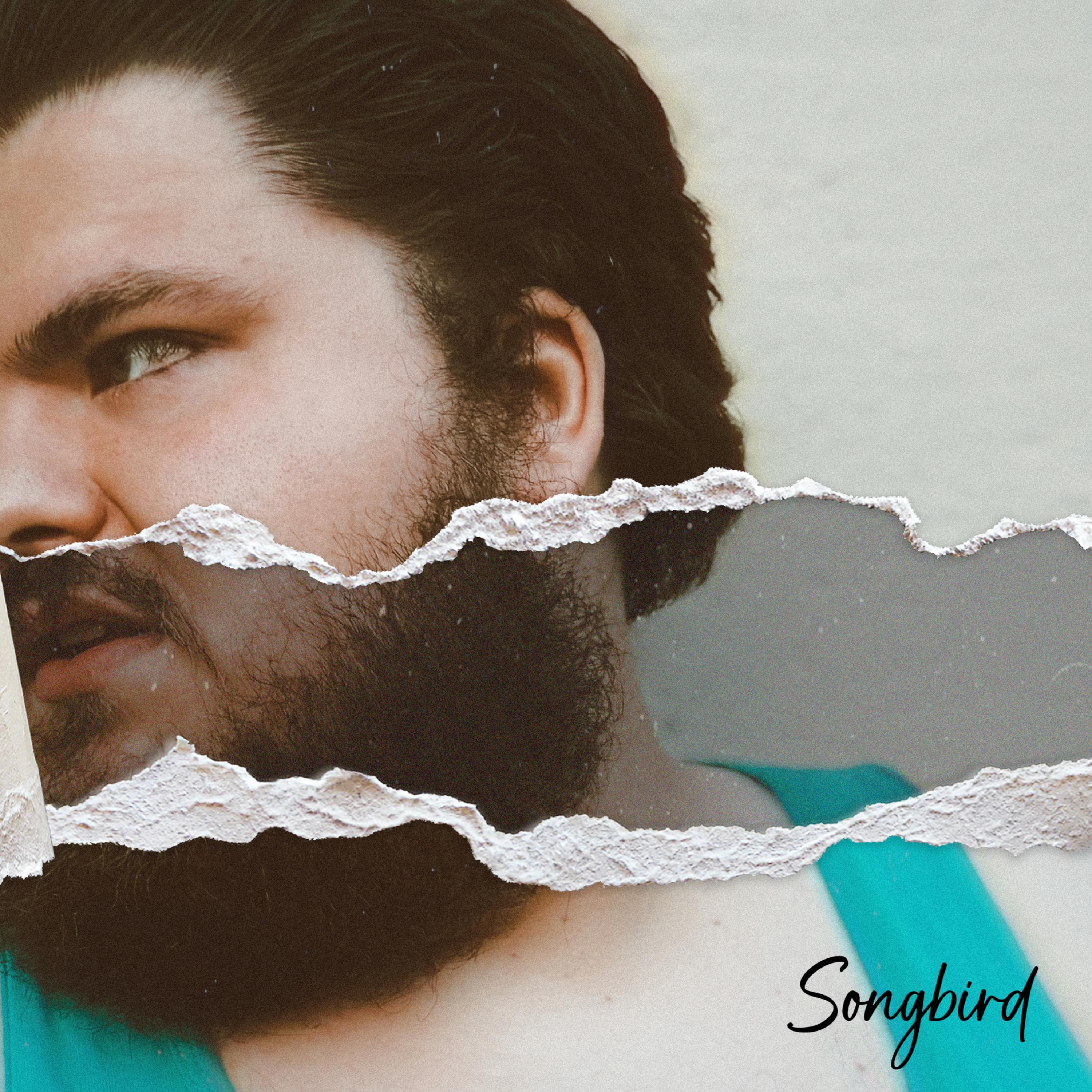 Songbird artwork