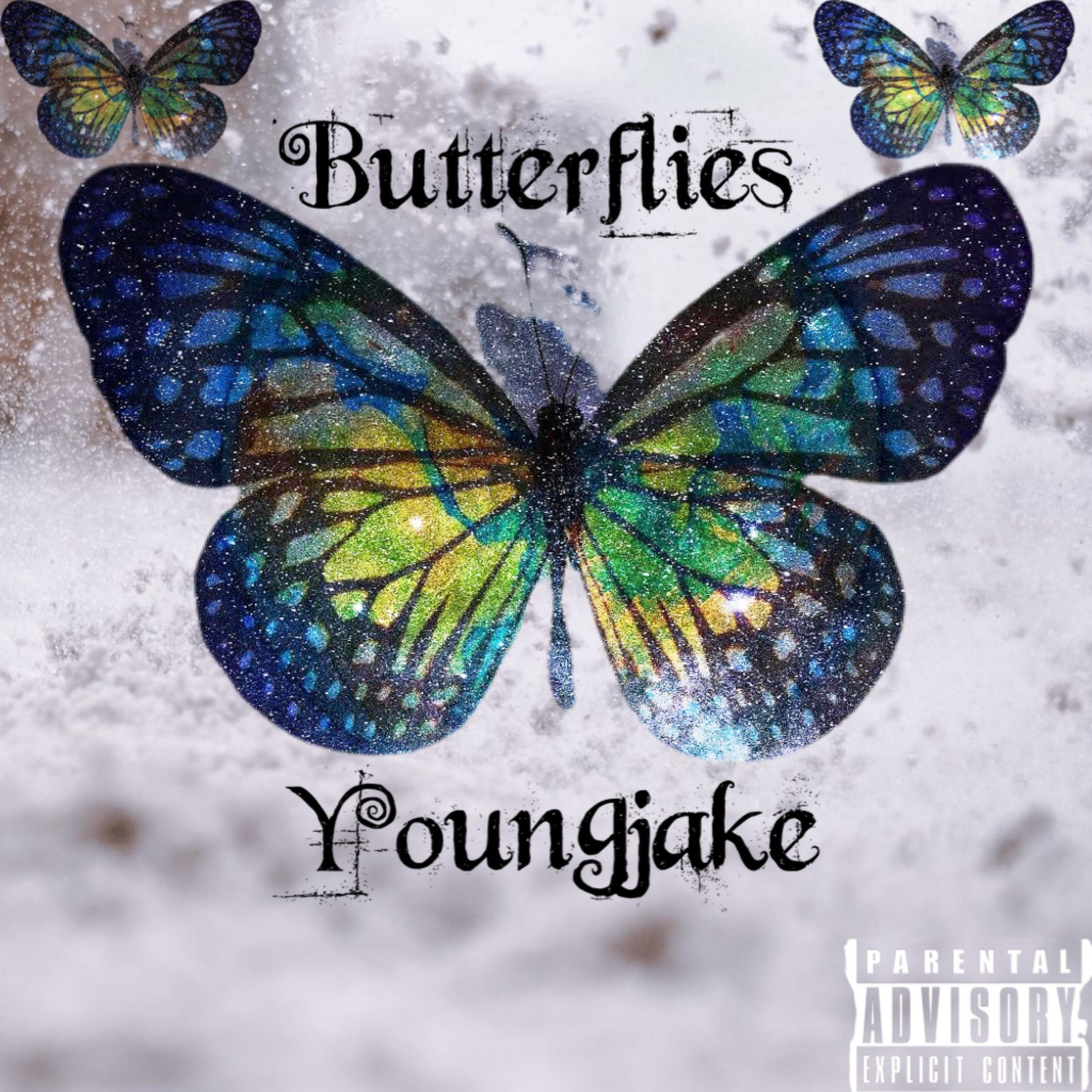 Butterflies by Youngjake cover art