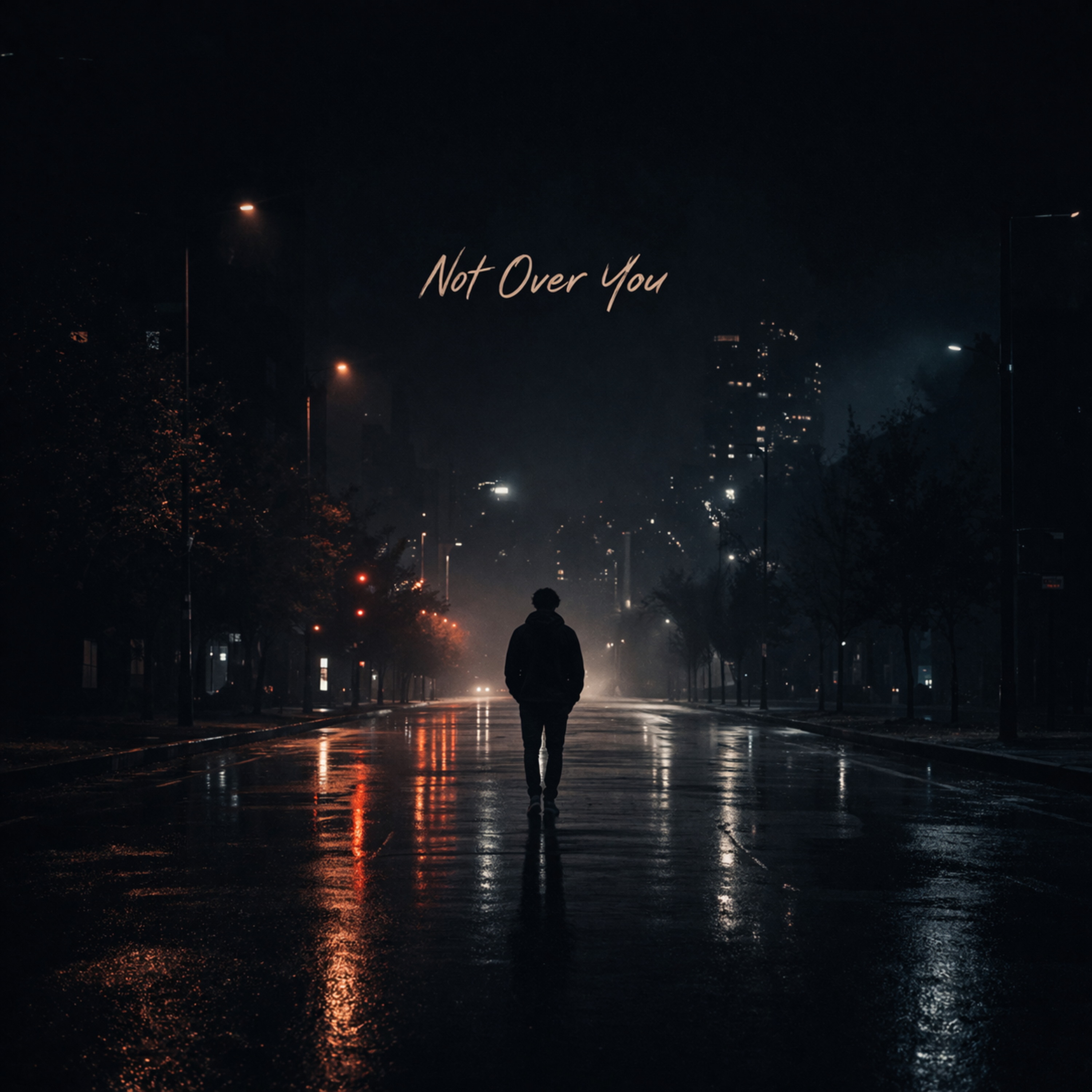 Not Over You artwork
