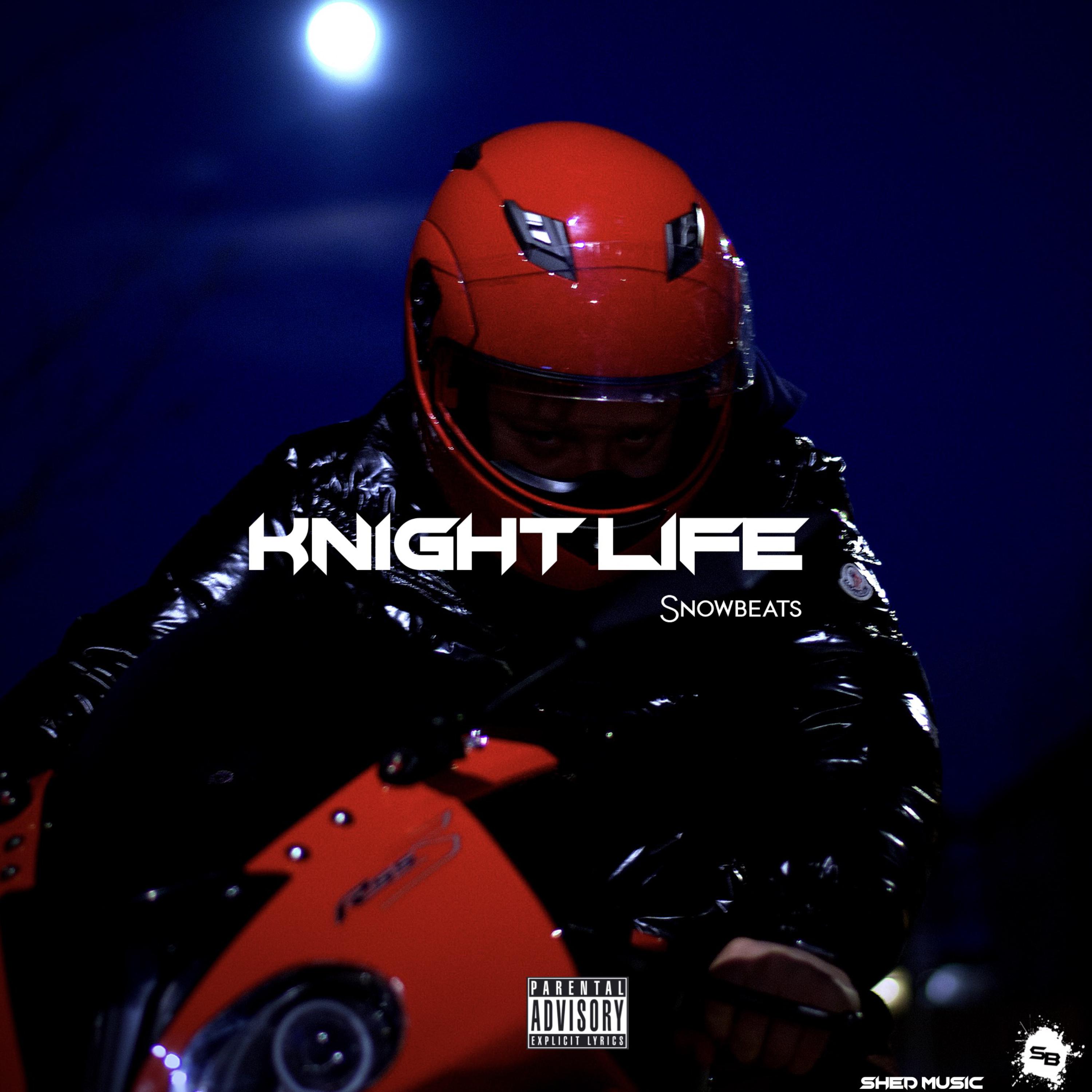 Knight Life artwork