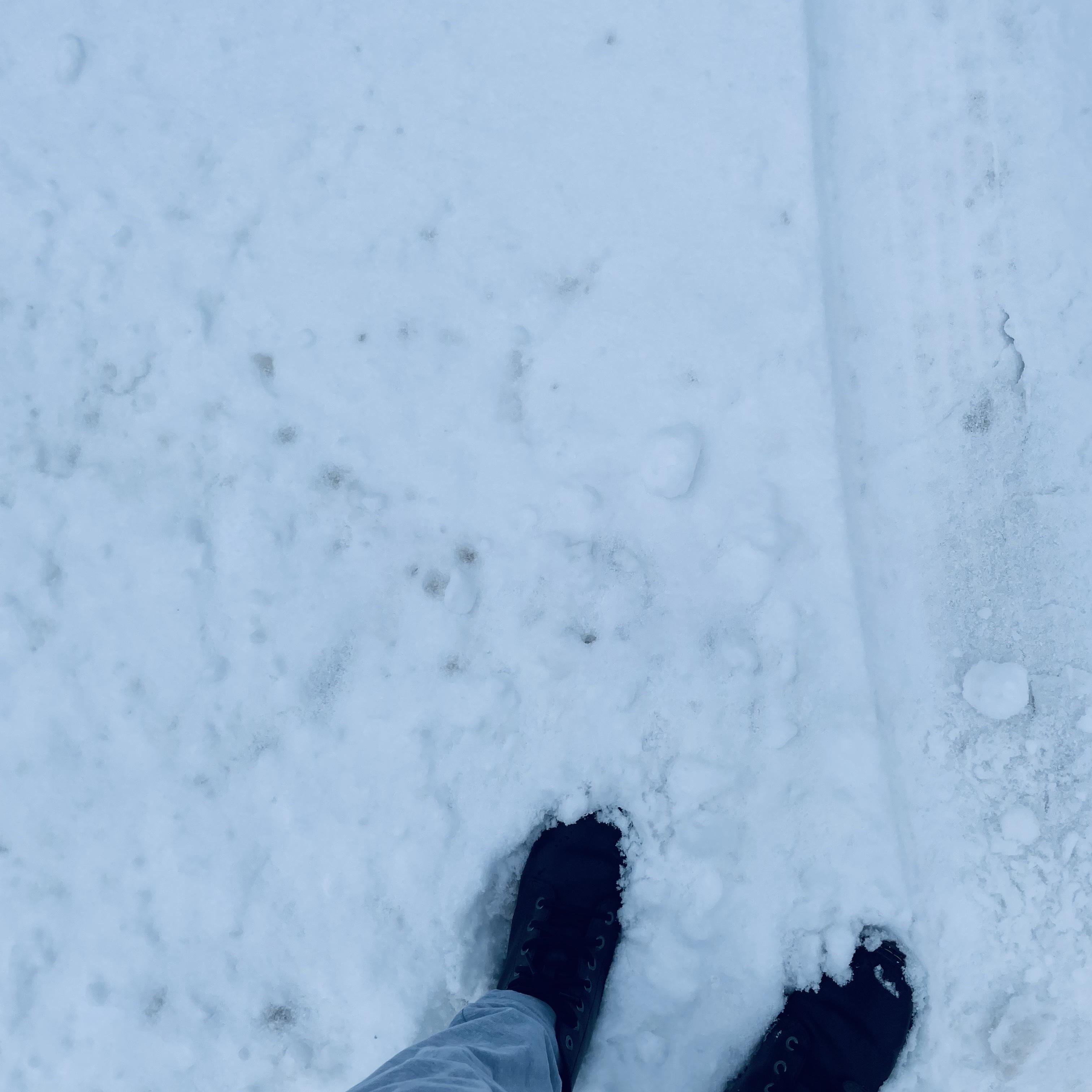 below 0 degrees artwork