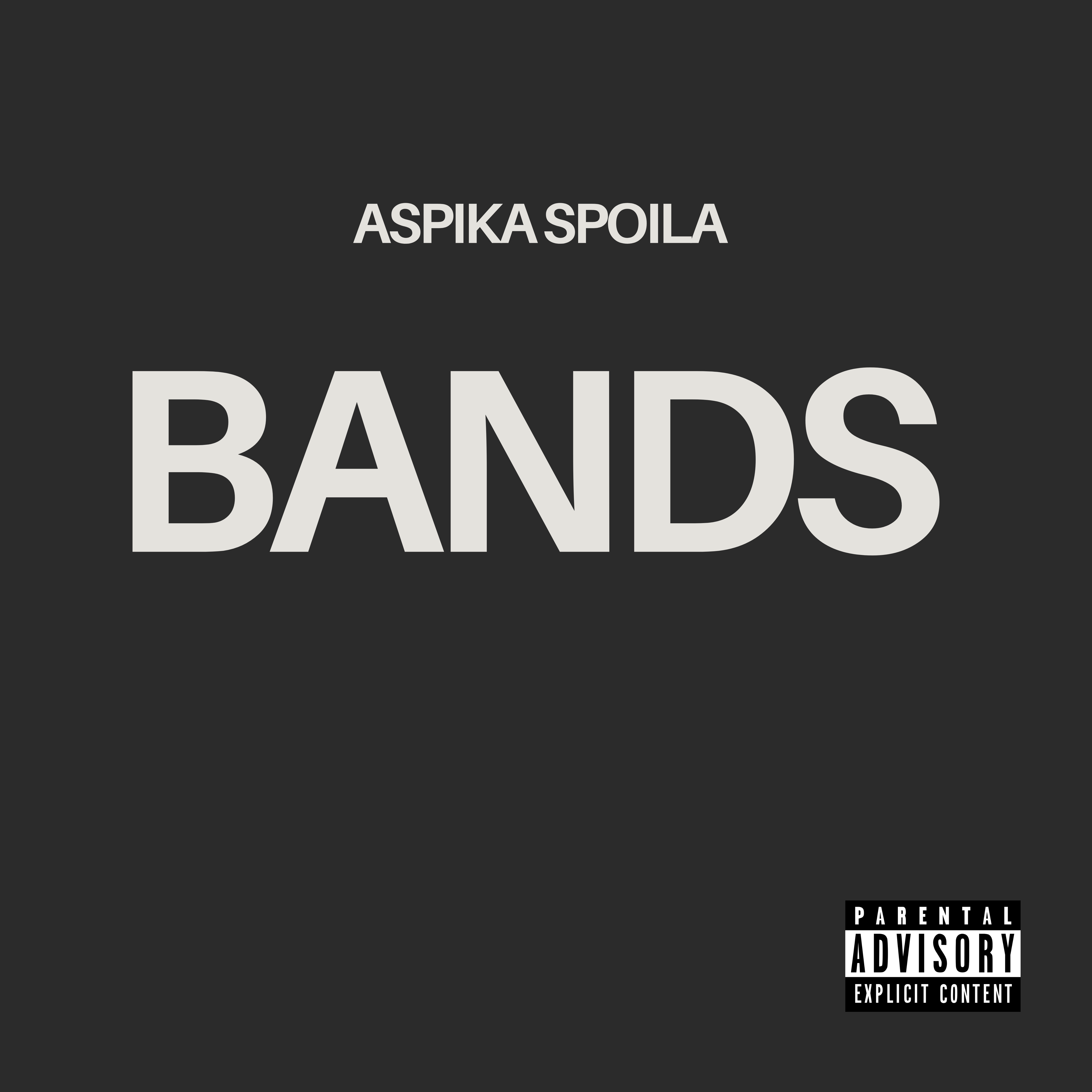 Bands artwork