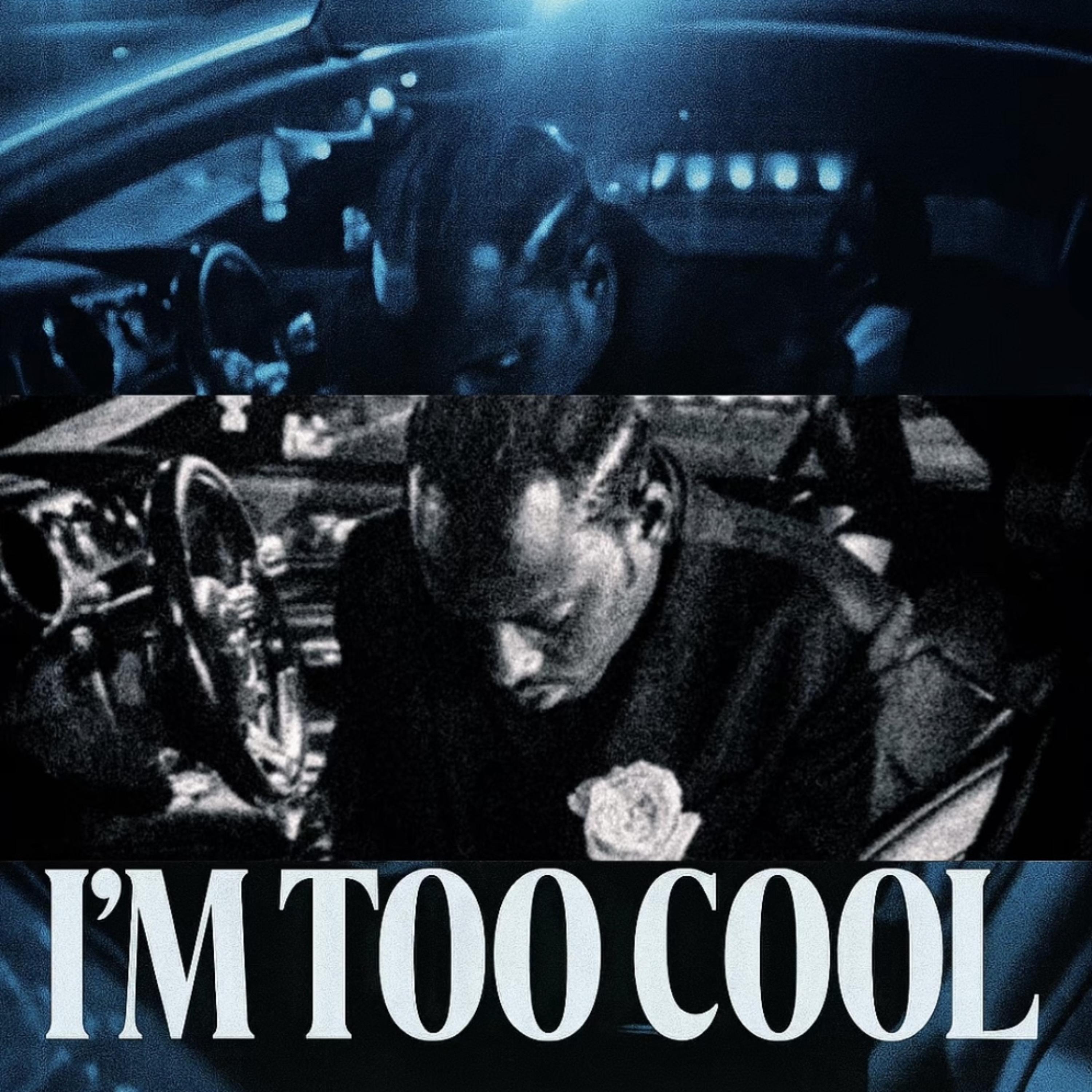 I'M TOO COOL artwork