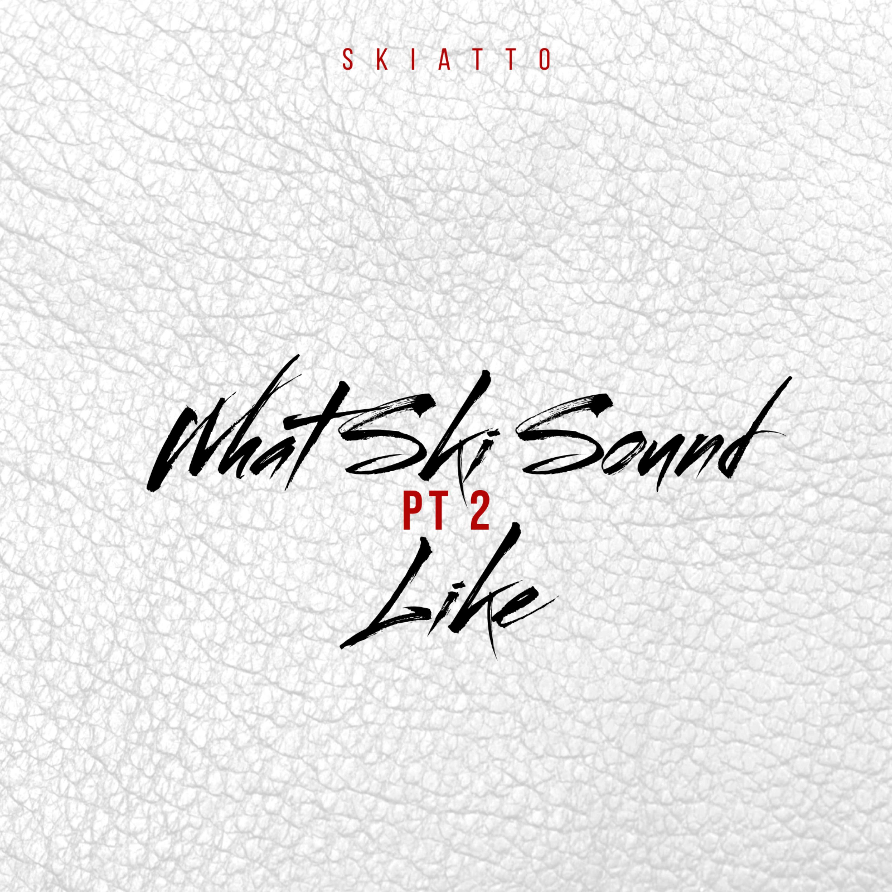 What Ski Sound Like 2 artwork