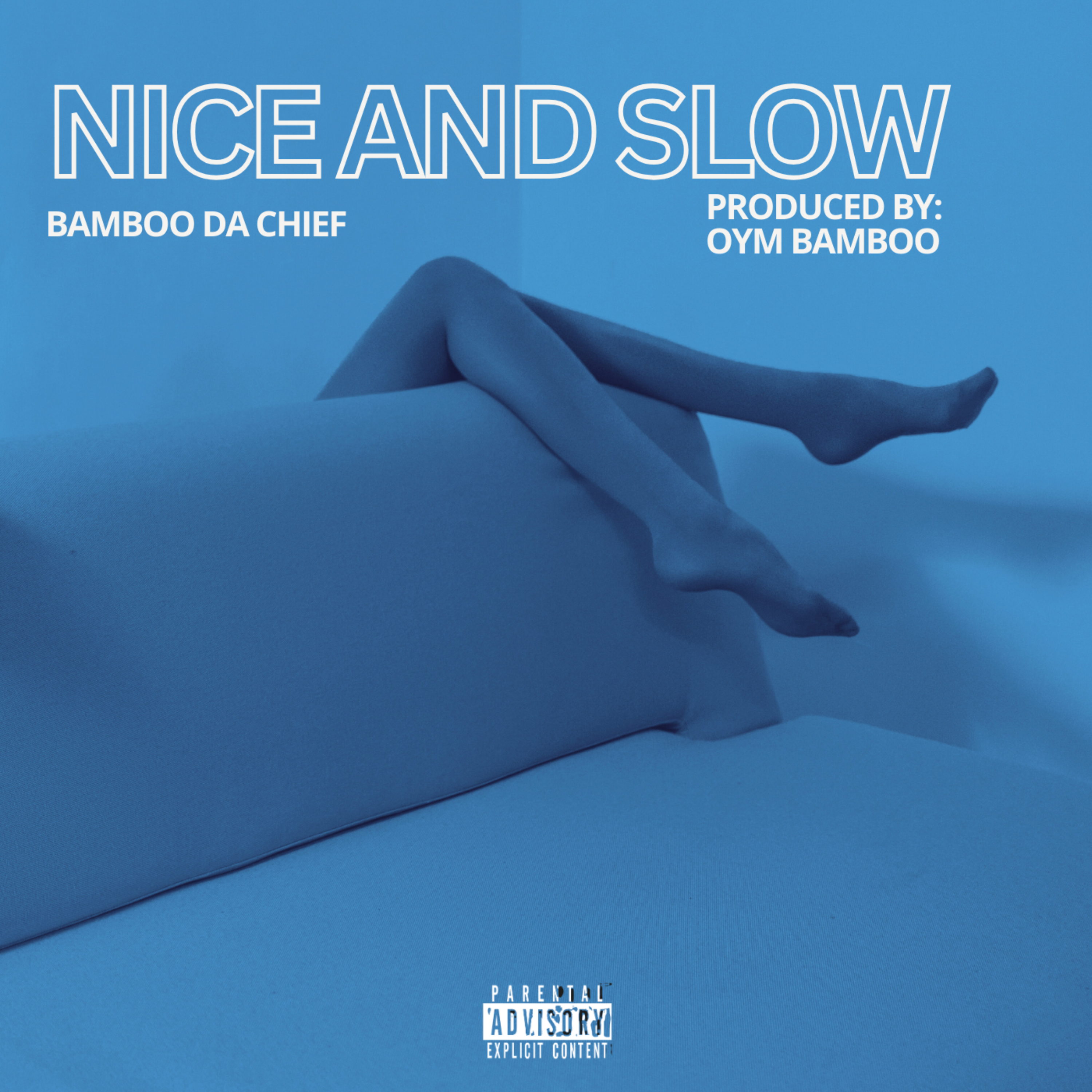 Nice And Slow artwork