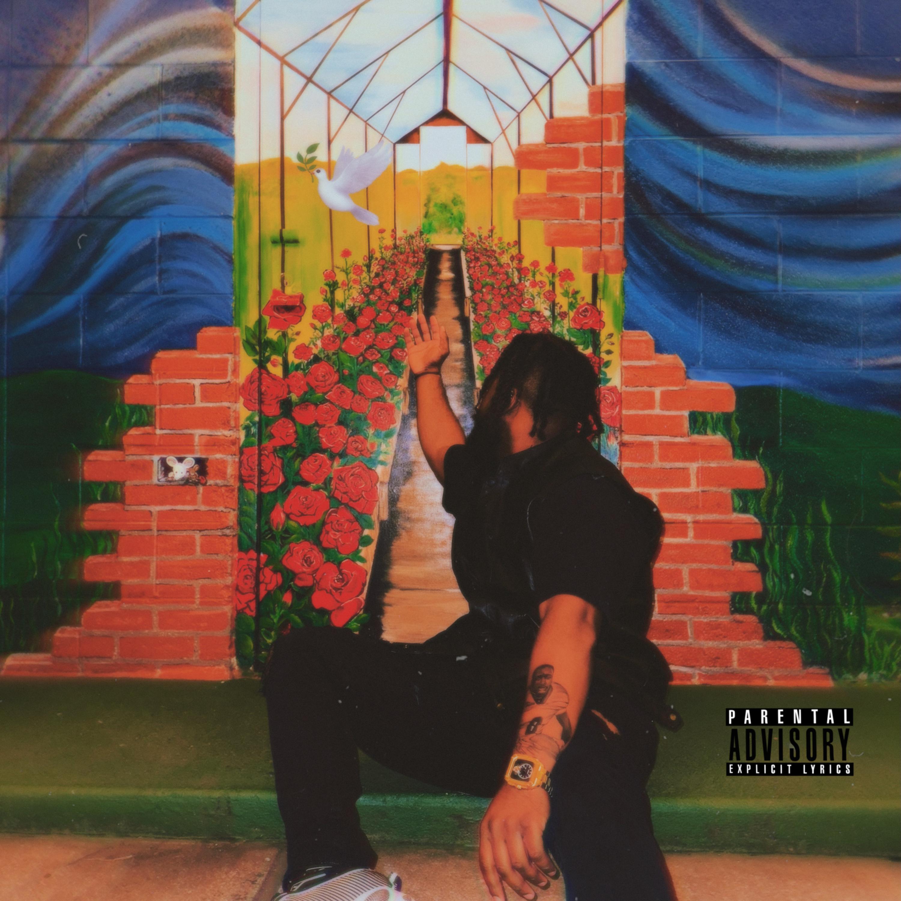 Hope U Fly artwork