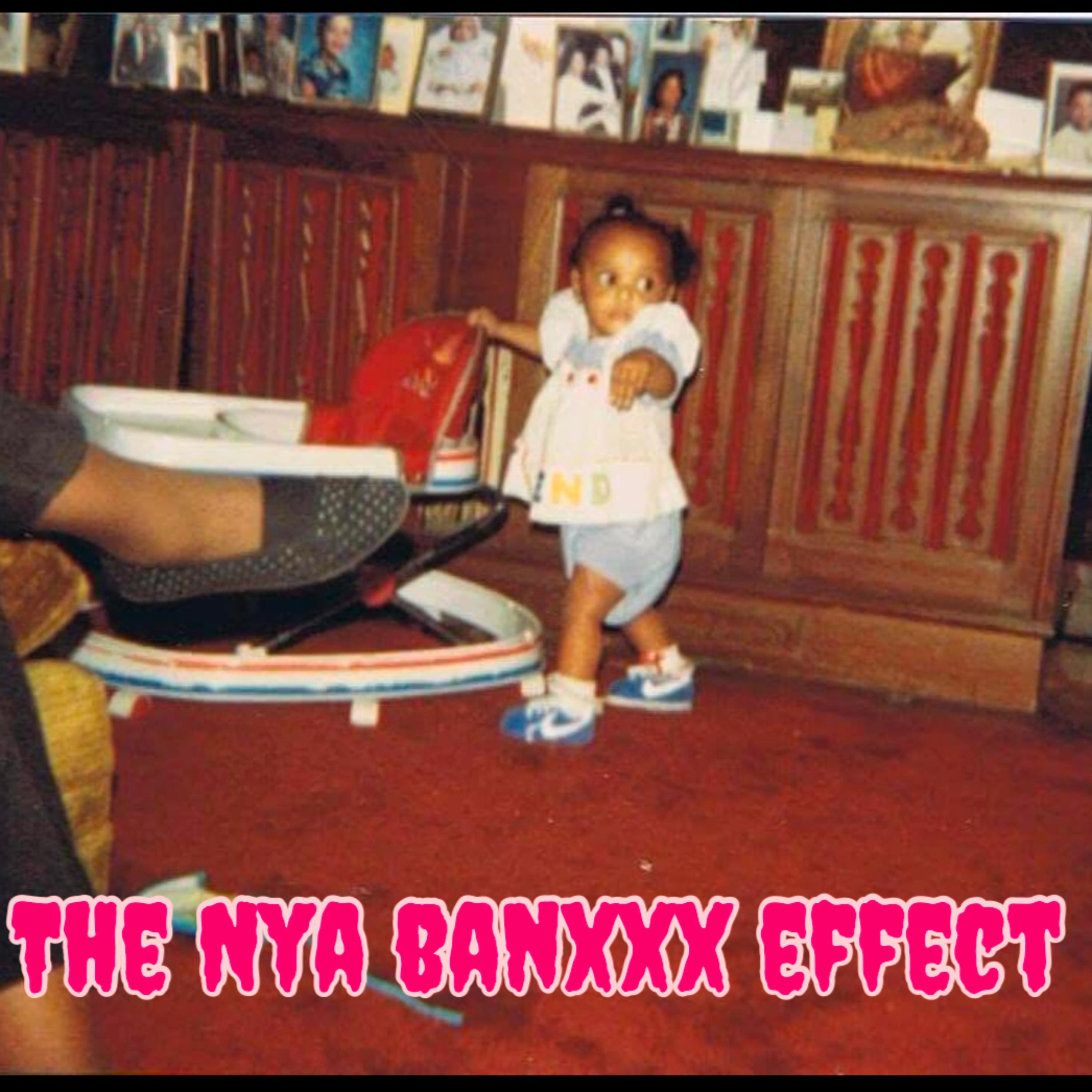 The Nya BanXXX Effect 2014 artwork