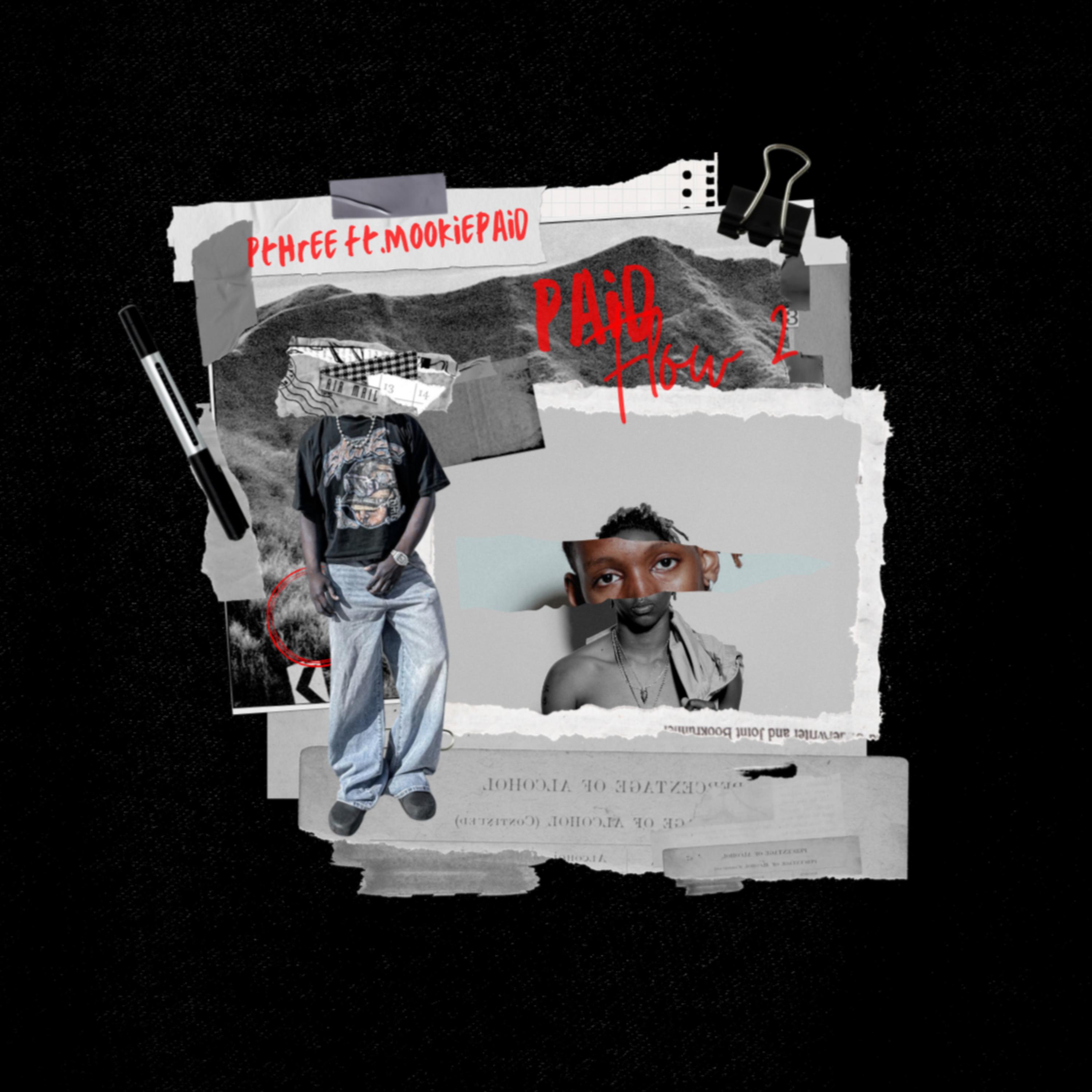 Paid Flow pt.2 artwork