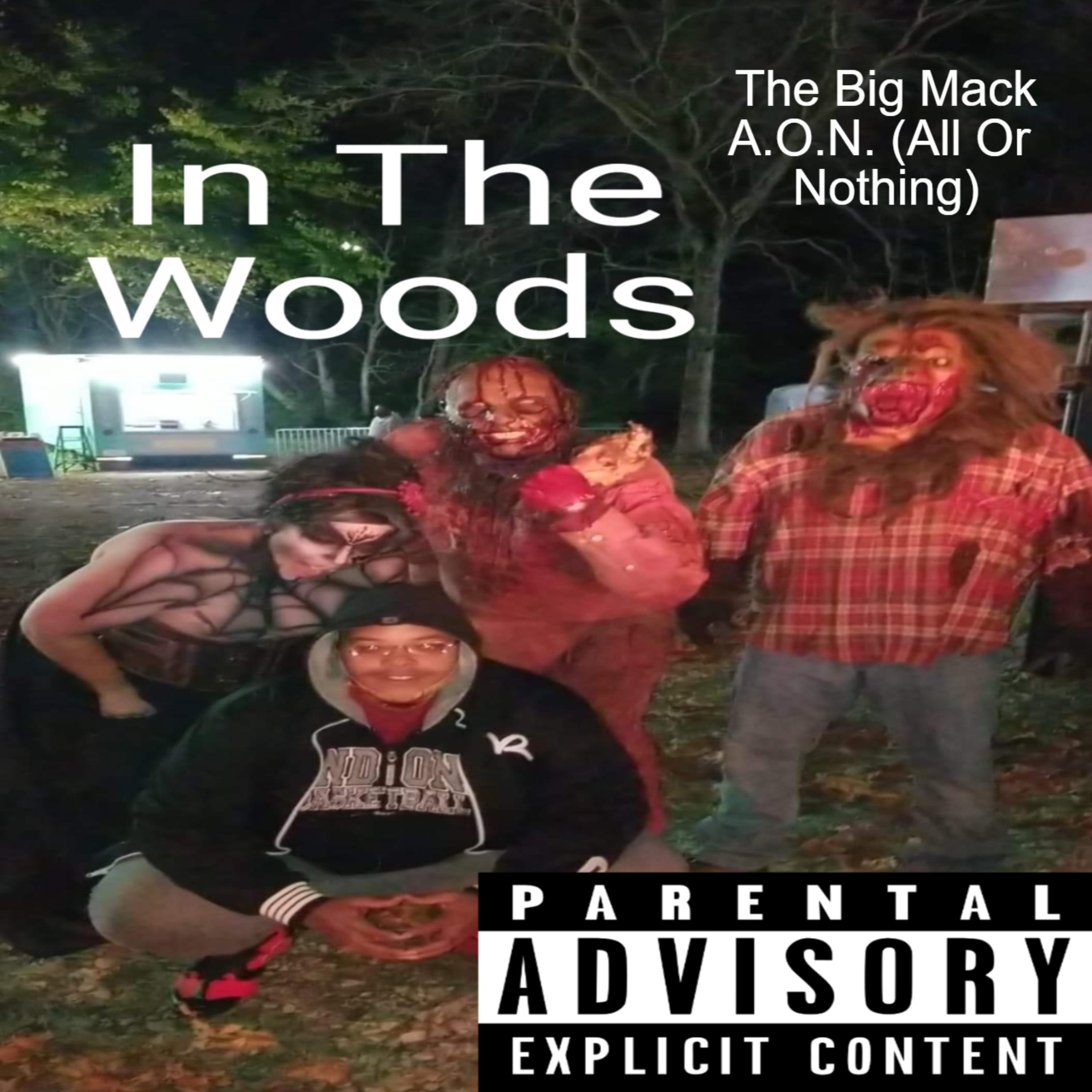 A.O.N. (all or nothing) by The Big Mack cover art