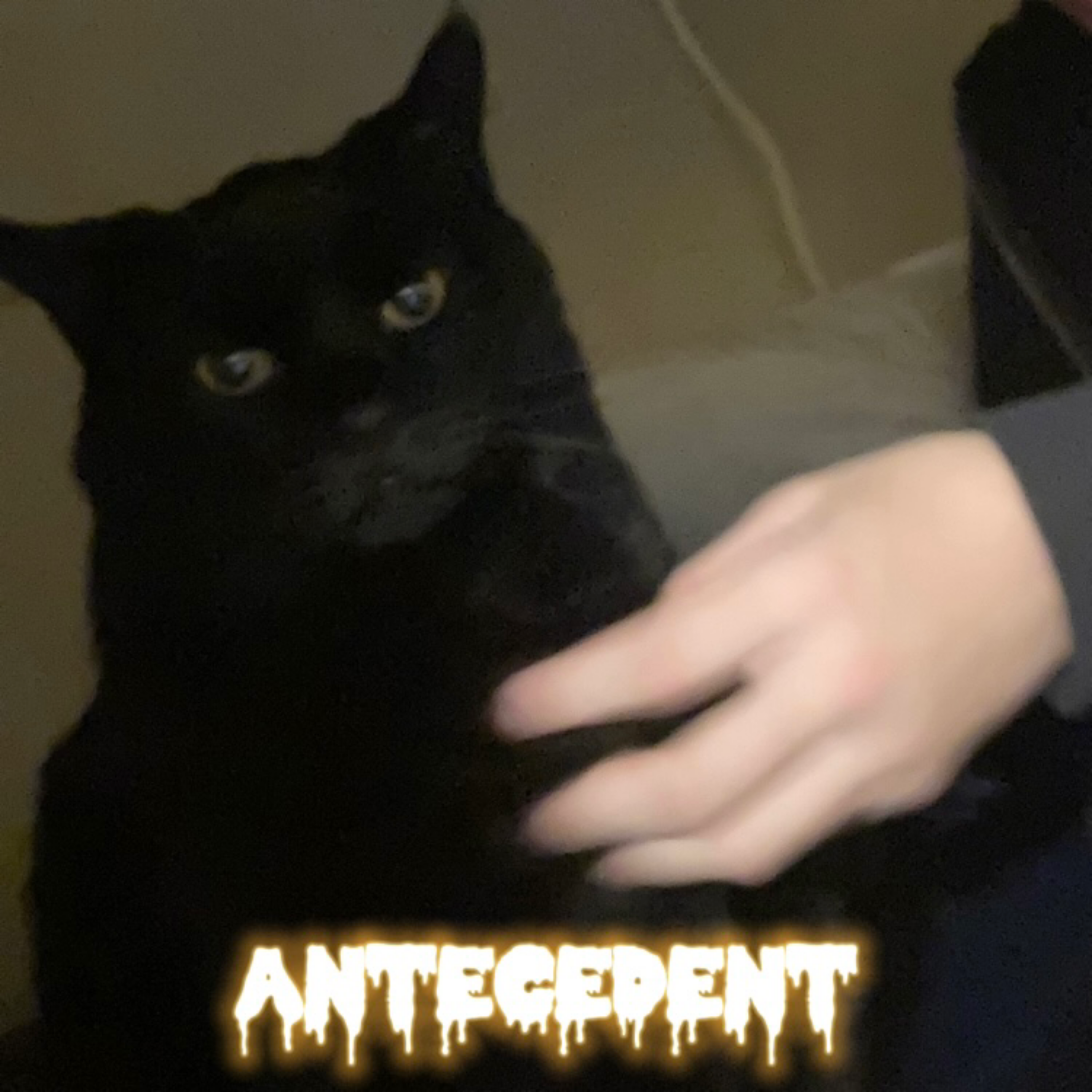 antecedent artwork