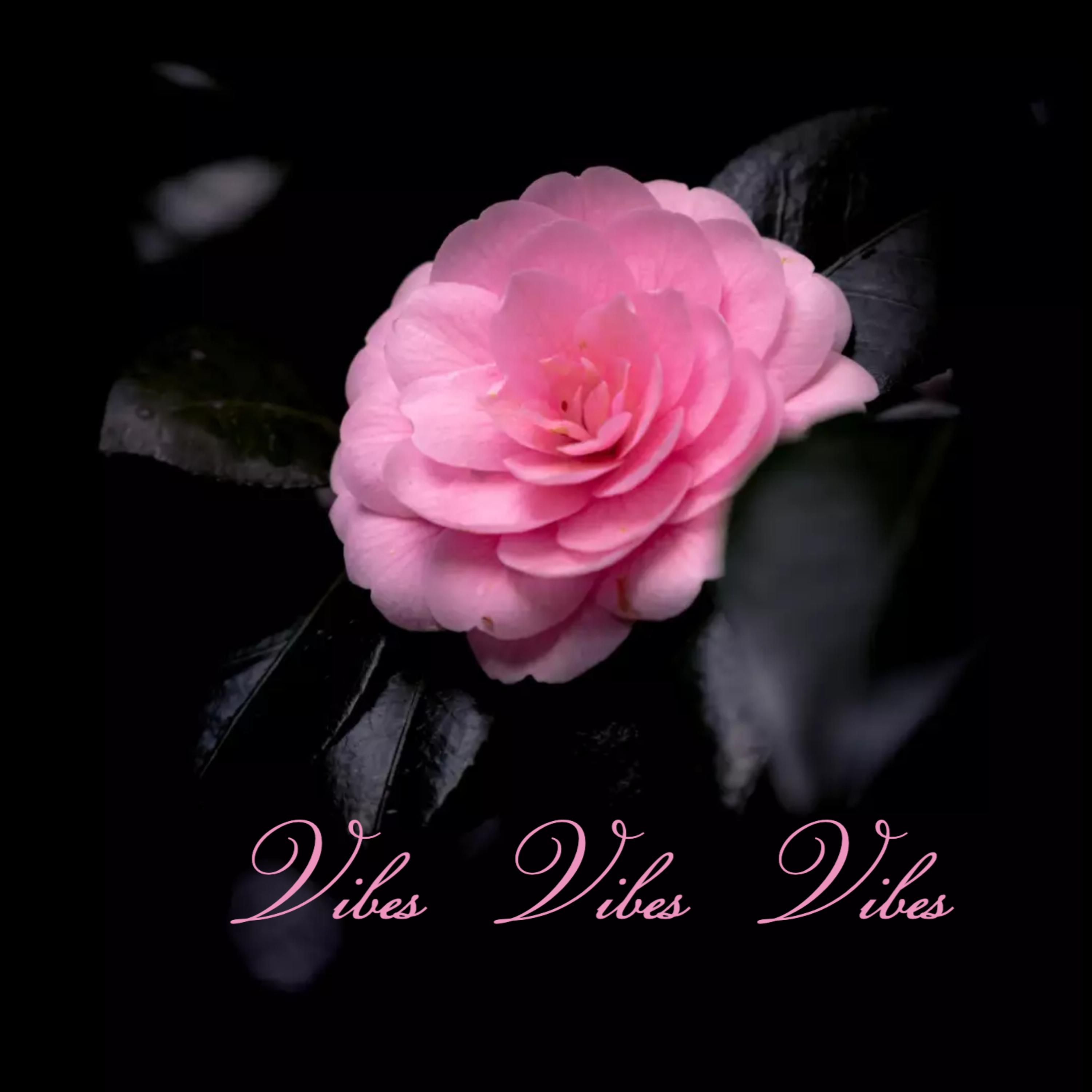 Vibes Vibes Vibes artwork