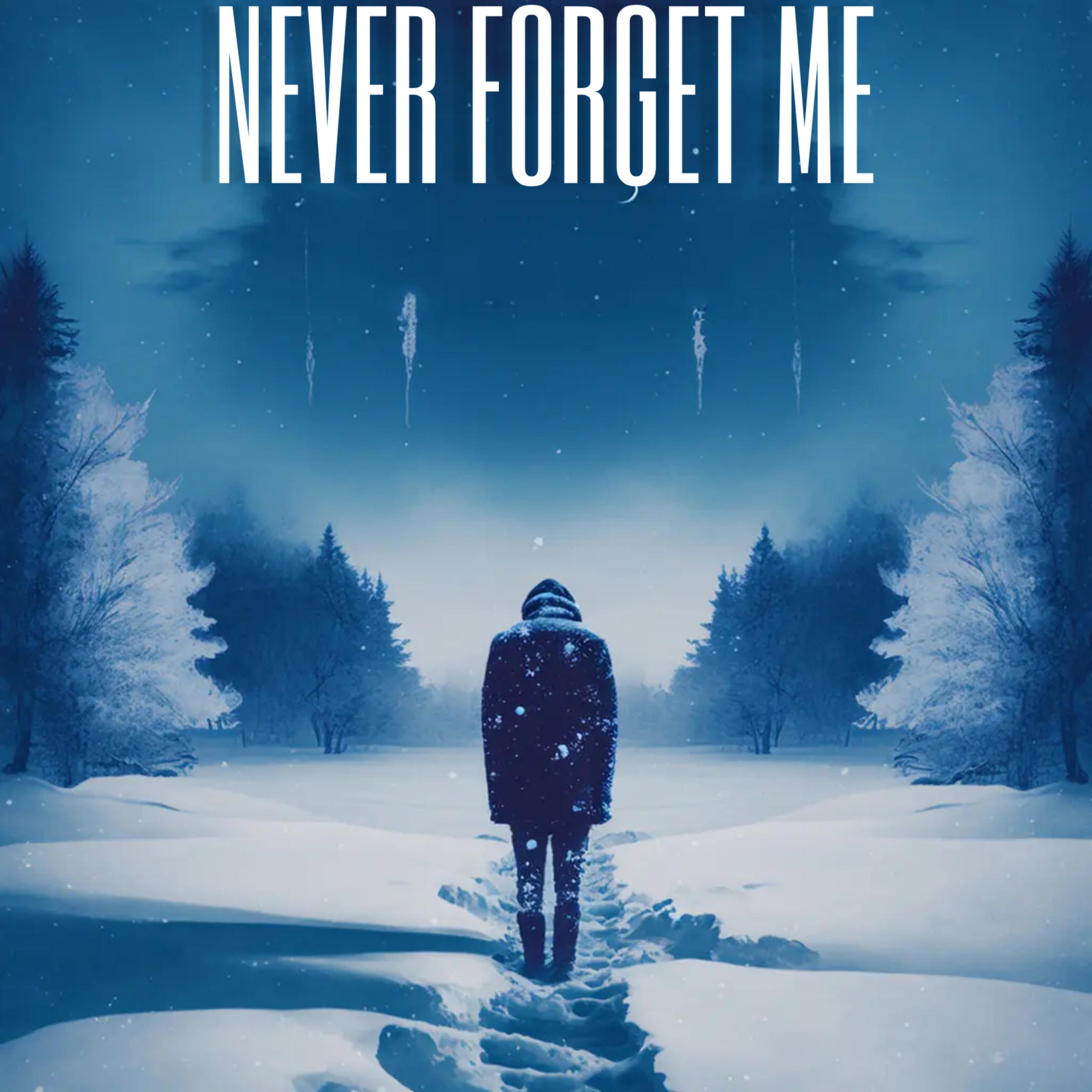 Never Forget Me artwork