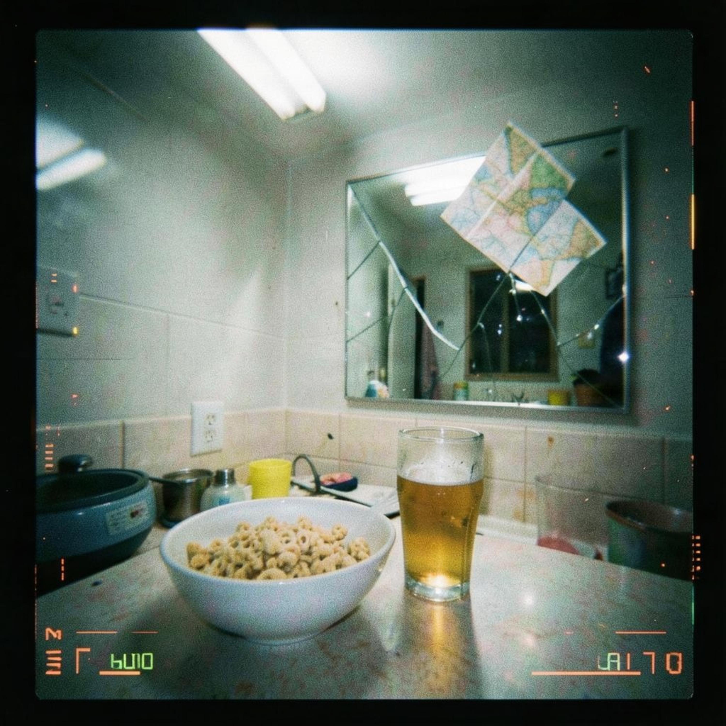 MISSING THE INSTRUCTIONS by Fang&Fire cover art