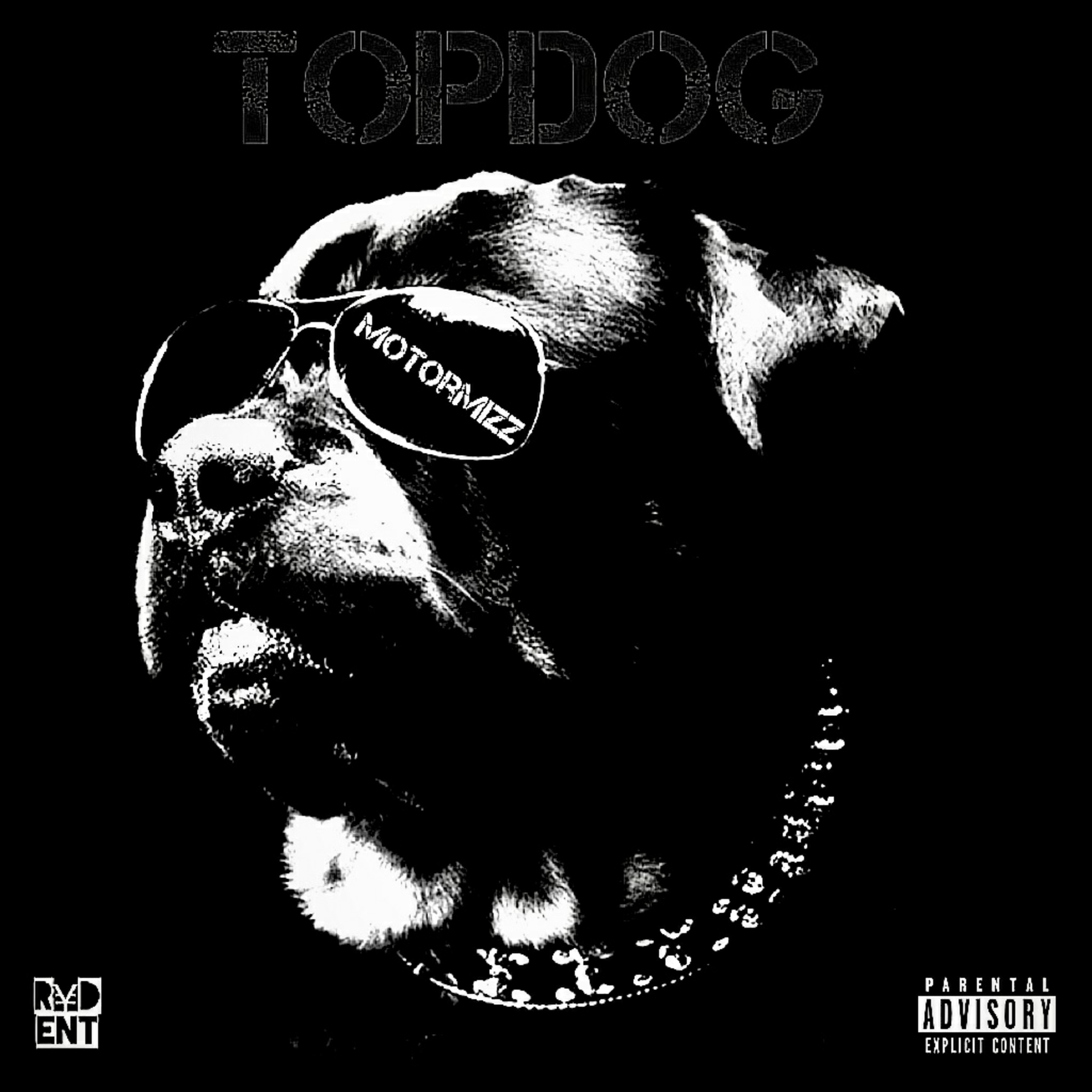 ToP DoG by MotorMizz cover art