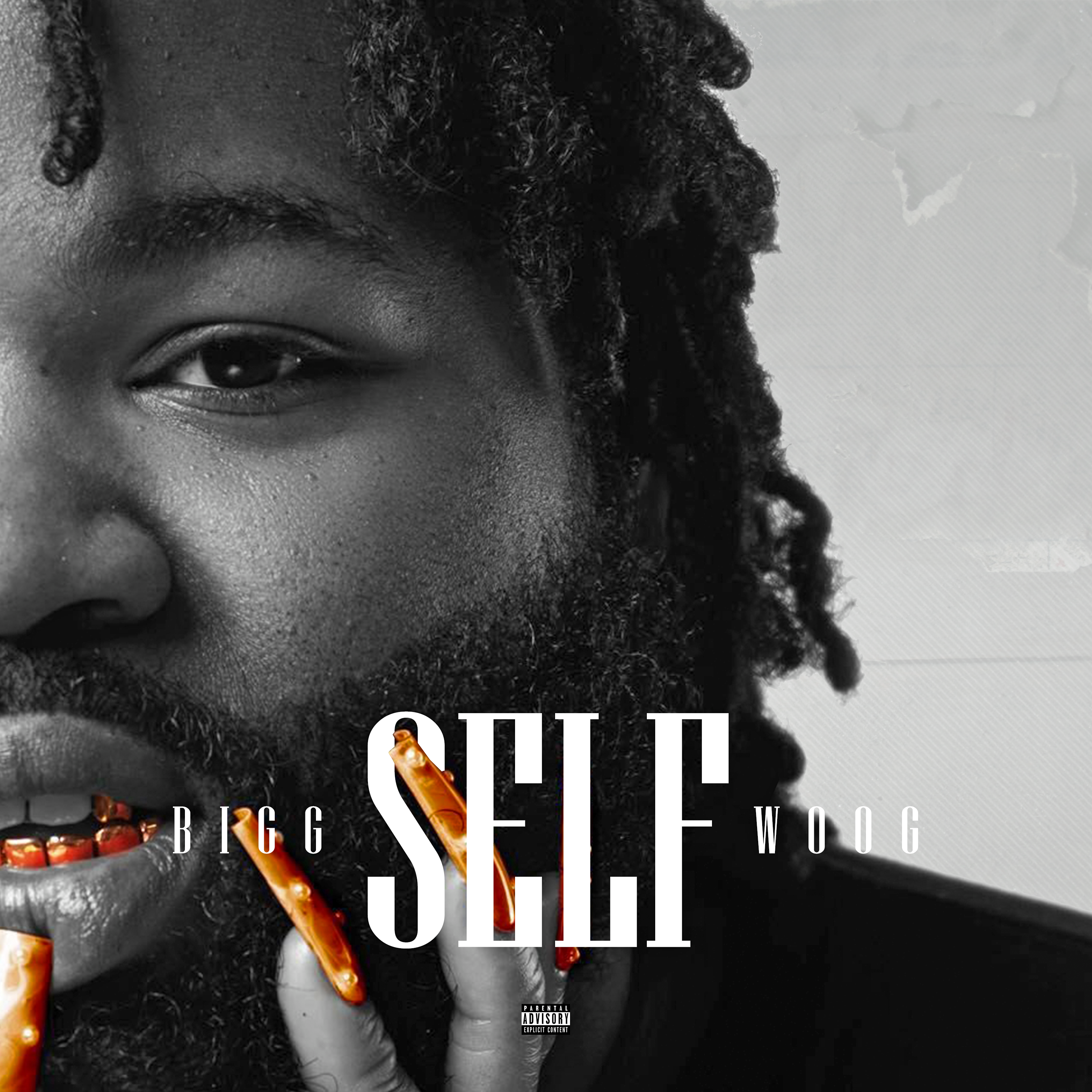 Self artwork